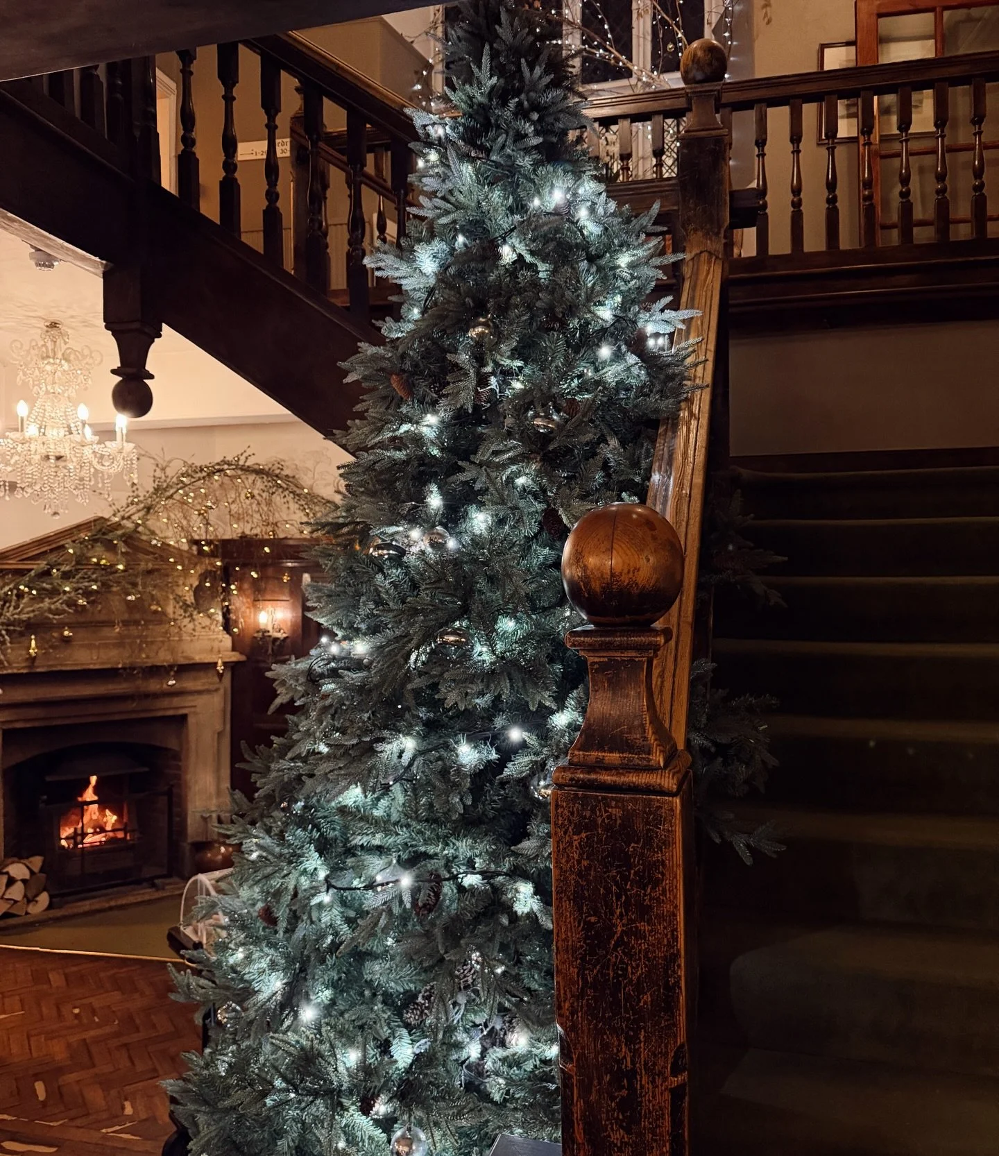 A Stamford classic ✨ The George Hotel at this time of year always feels magical&hellip; with every room decorated from top to bottom, a courtyard filled with Christmas trees, and plenty of options for drinking and dining 👏🏻🎄🥂

Plus maybe the fanc