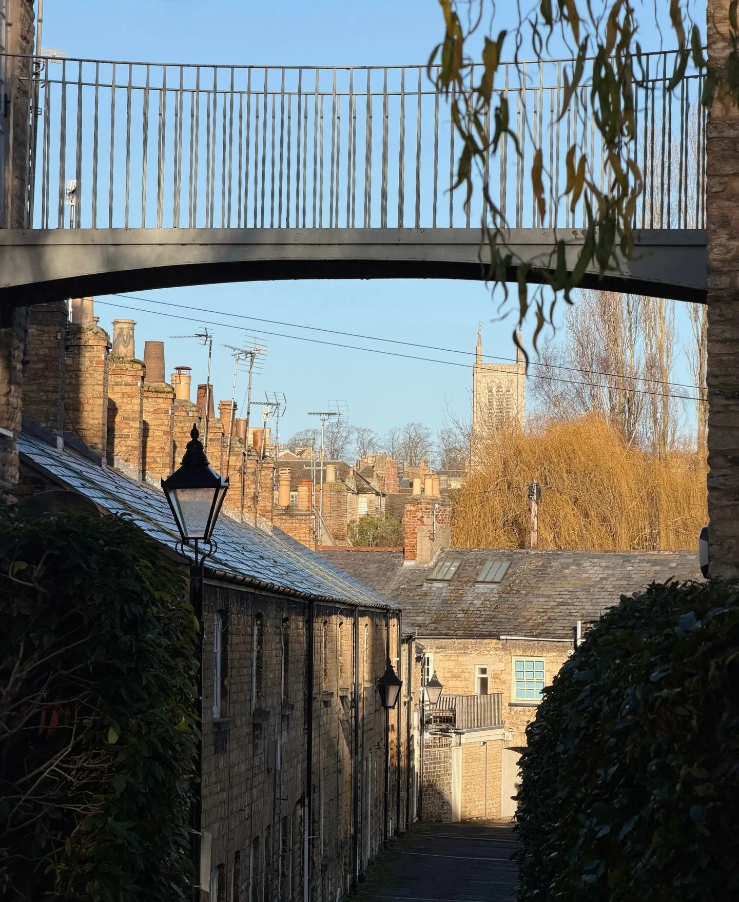 My walks around town these past few days have been so stunning 💫❄️ cold crisp days with gorgeous blue skies, fully wrapped up, and @frothyscoffee in hand - the best 🫶🏻