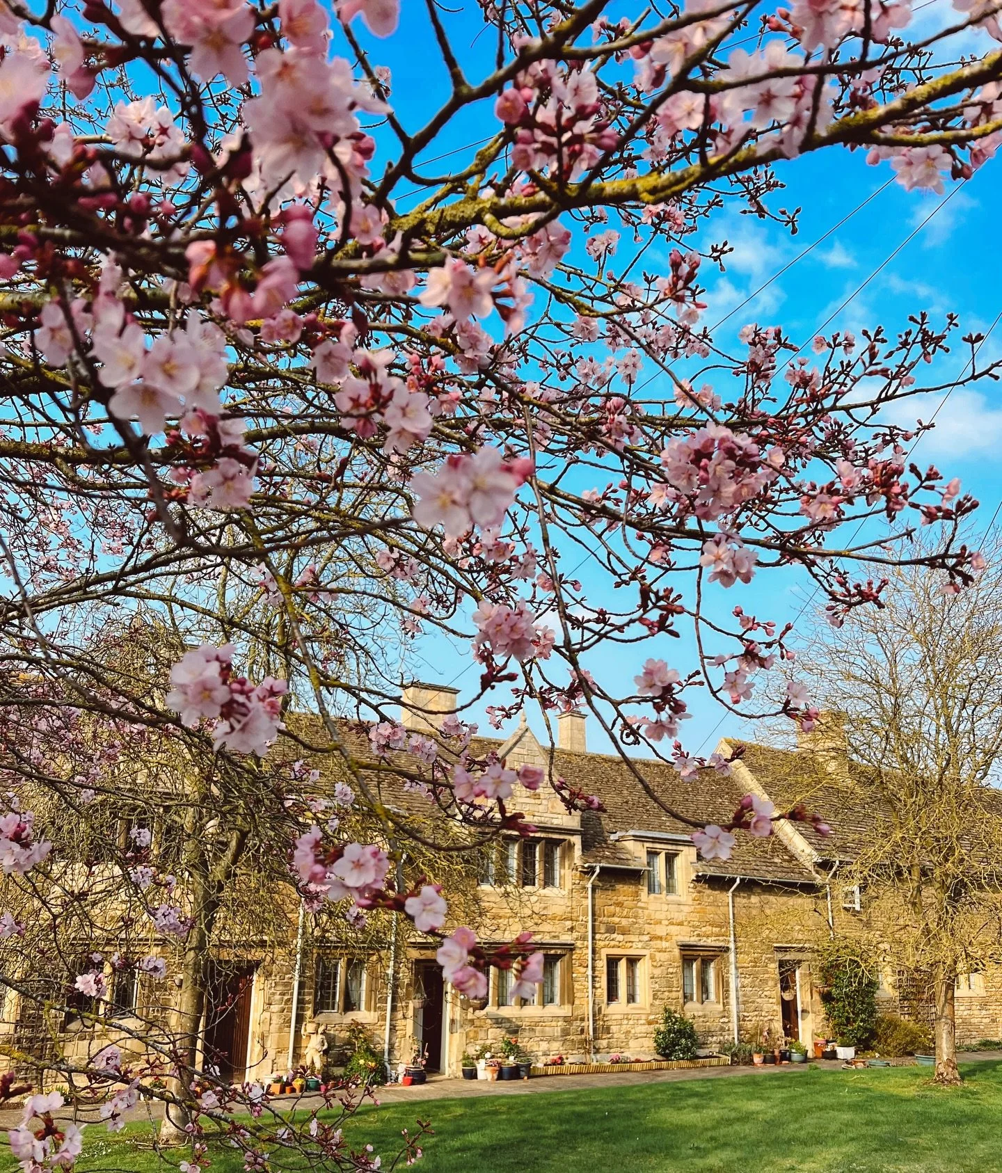 Dreaming of spring in Stamford 🥲🍃🌷🌸