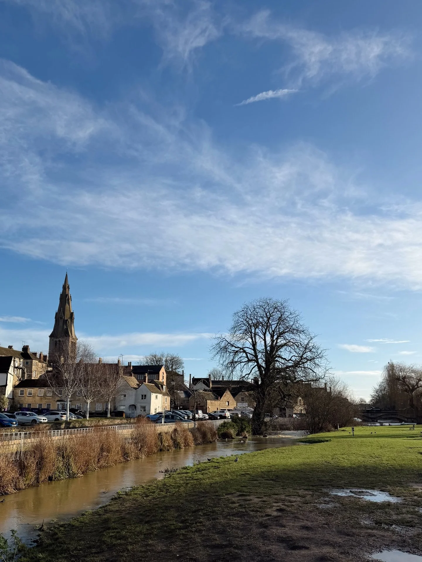 Sunny mornings on the meadows 🌤️🍃✨