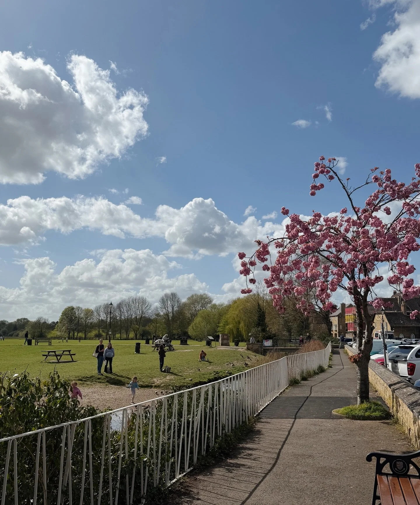 Just spring things down at the meadows 🥹🐥🌸