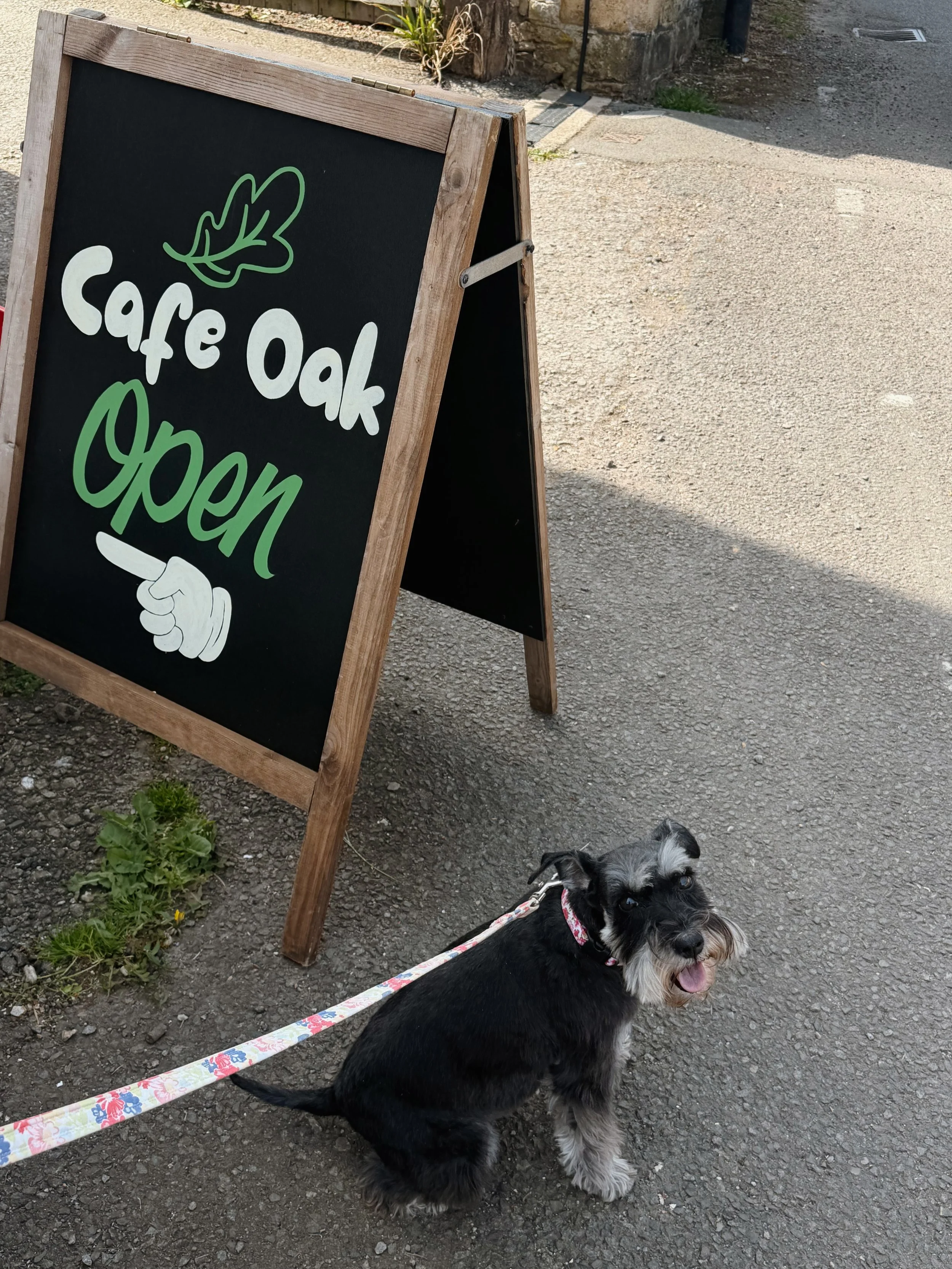 me 🤝🏼 cute village caf&eacute;s

I absolutely loved discovering this adorable caf&eacute; tucked away in the village of Geddington ☕️ @cafeoakgeddo - it&rsquo;s a little further afield from Stamford but so worth a visit if you&rsquo;re over Corby/K