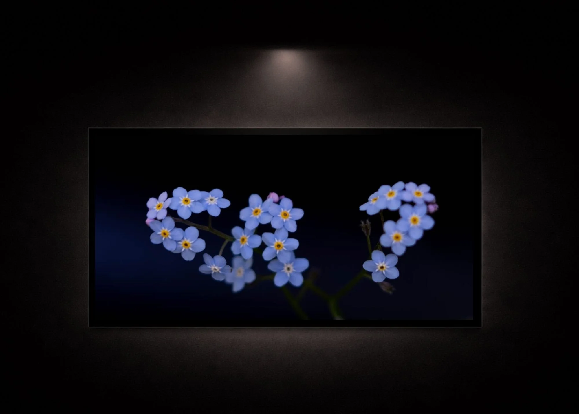 Dark Floral Photography for Modern Interiors