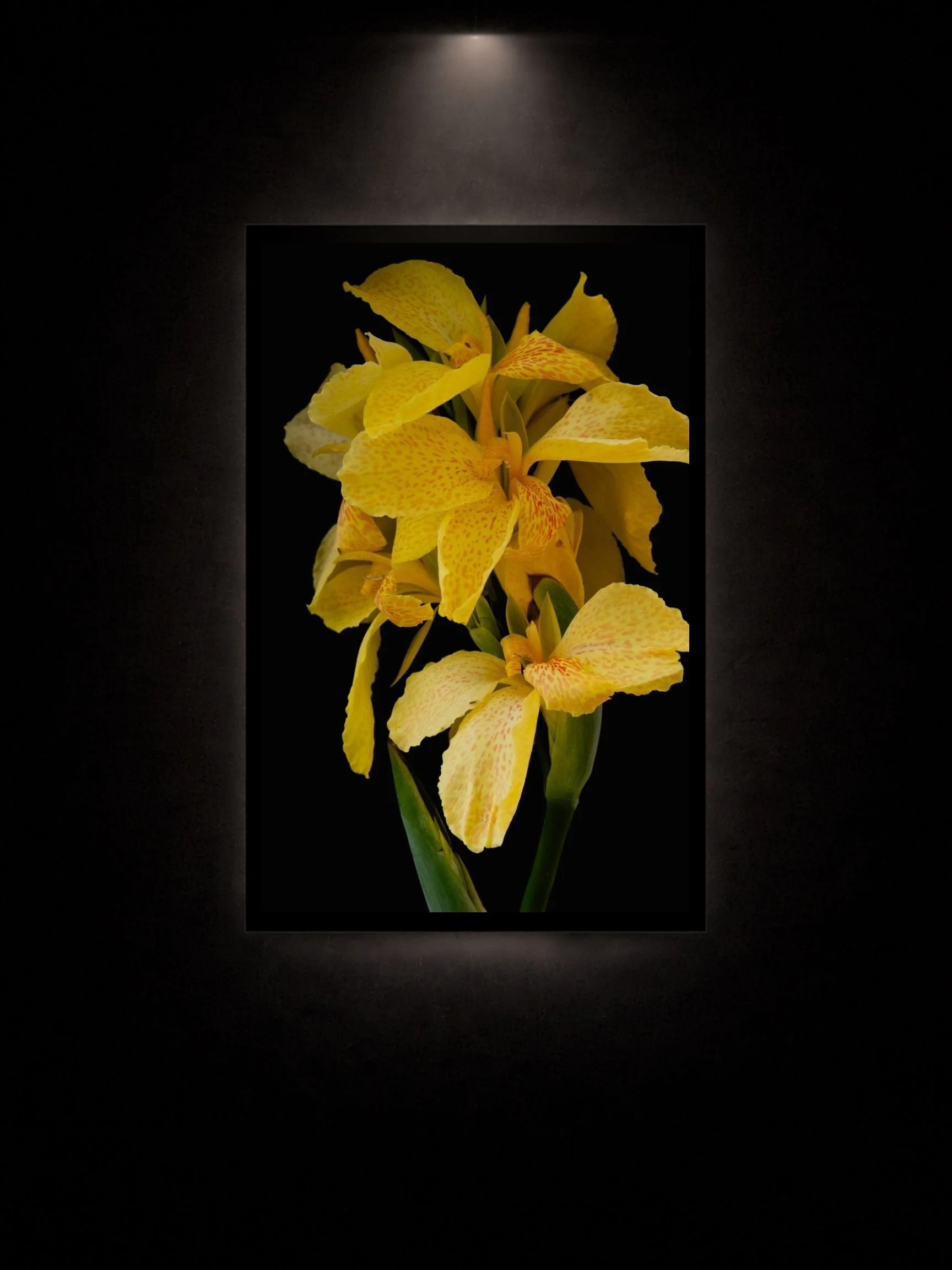 Large dark floral wall art above sofa in modern minimalist interior