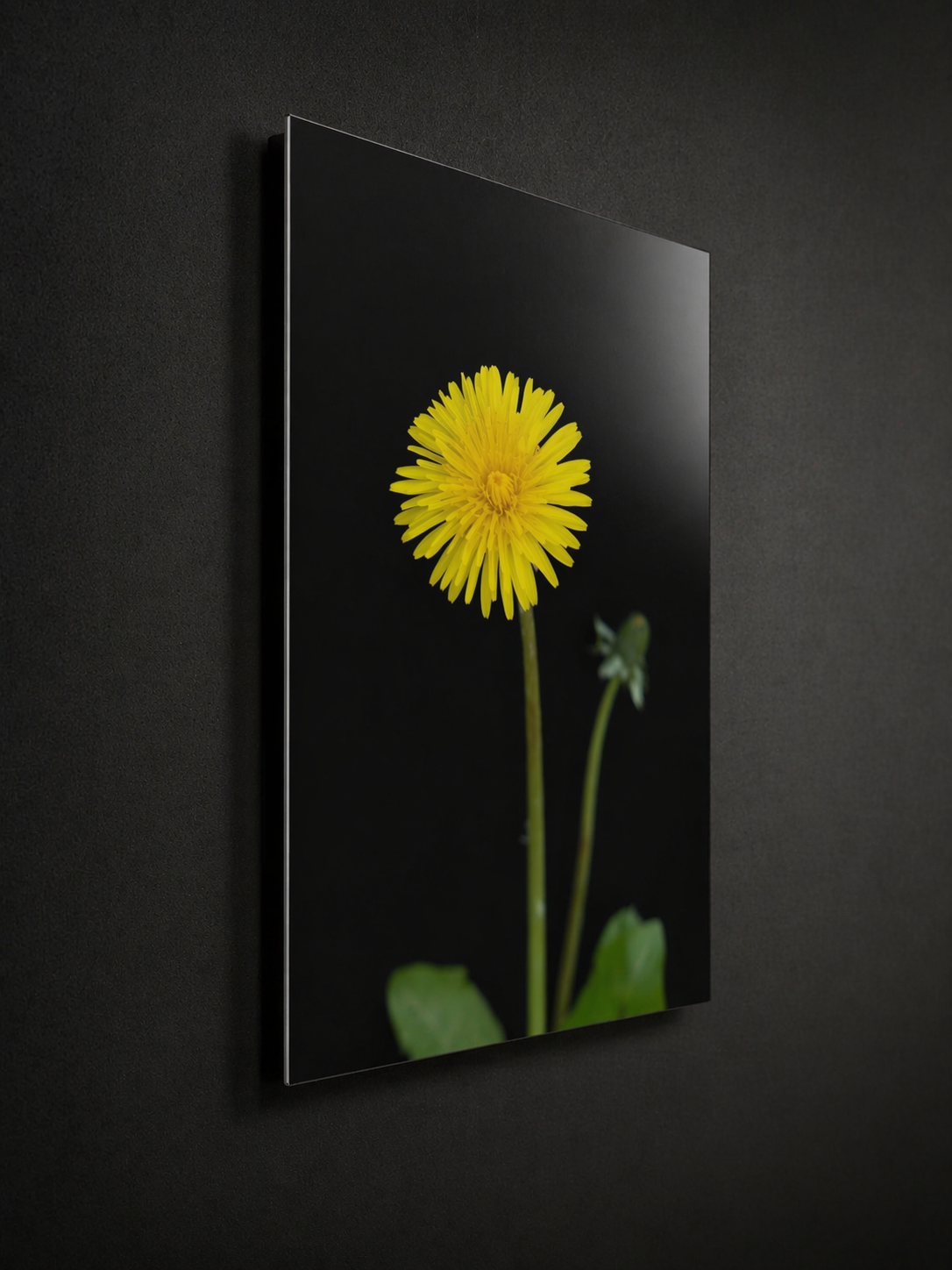 Fine art floral print on acrylic and metal showing depth and light reflection