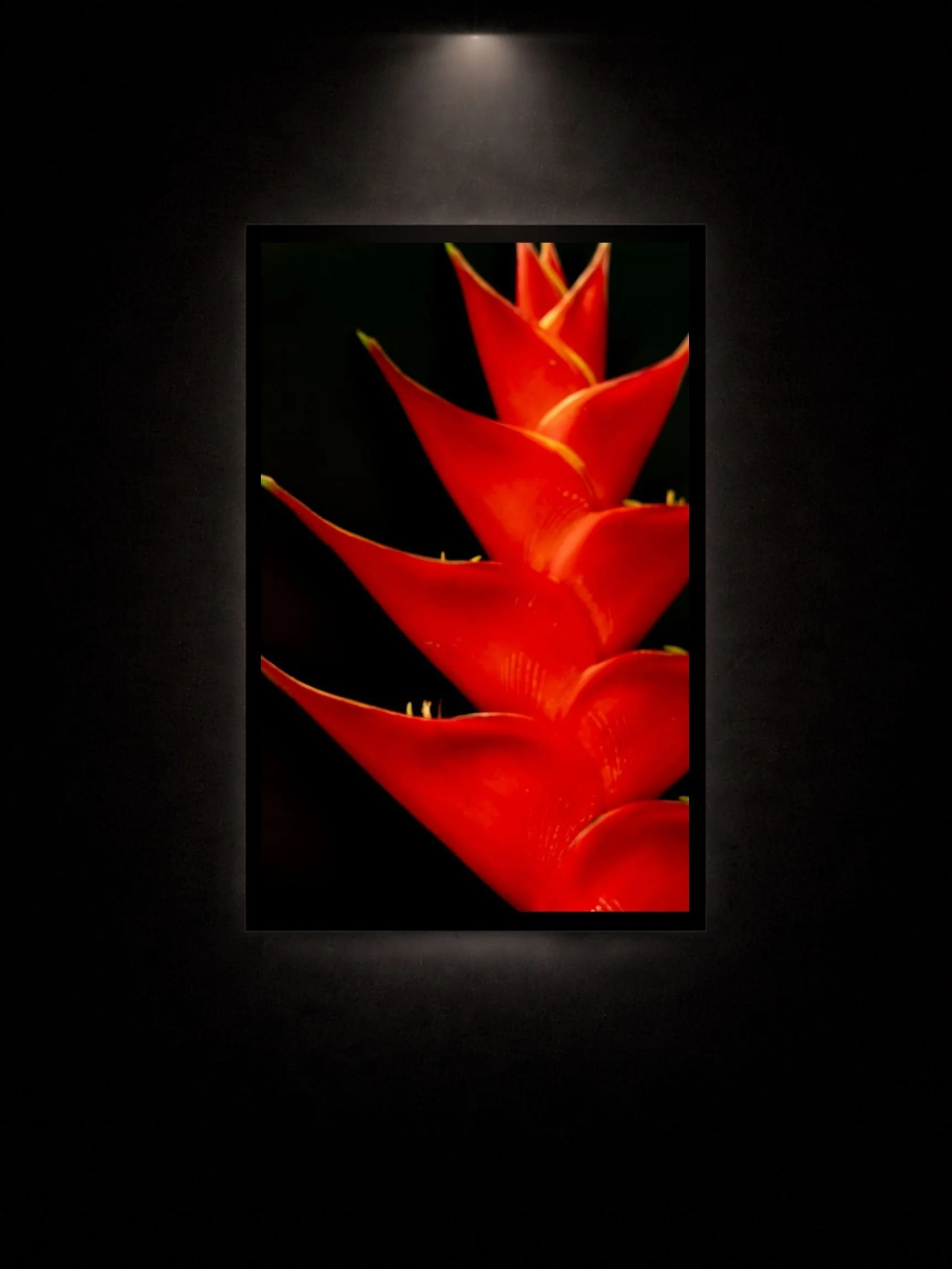 Pele's Fire Fine Art Print