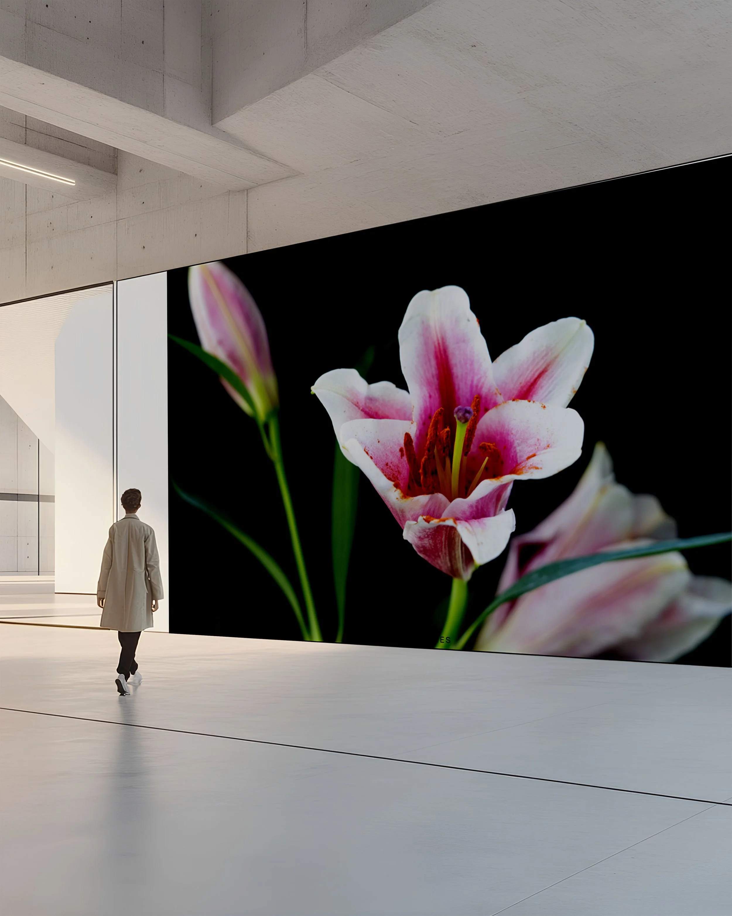 commercial space.jpeg