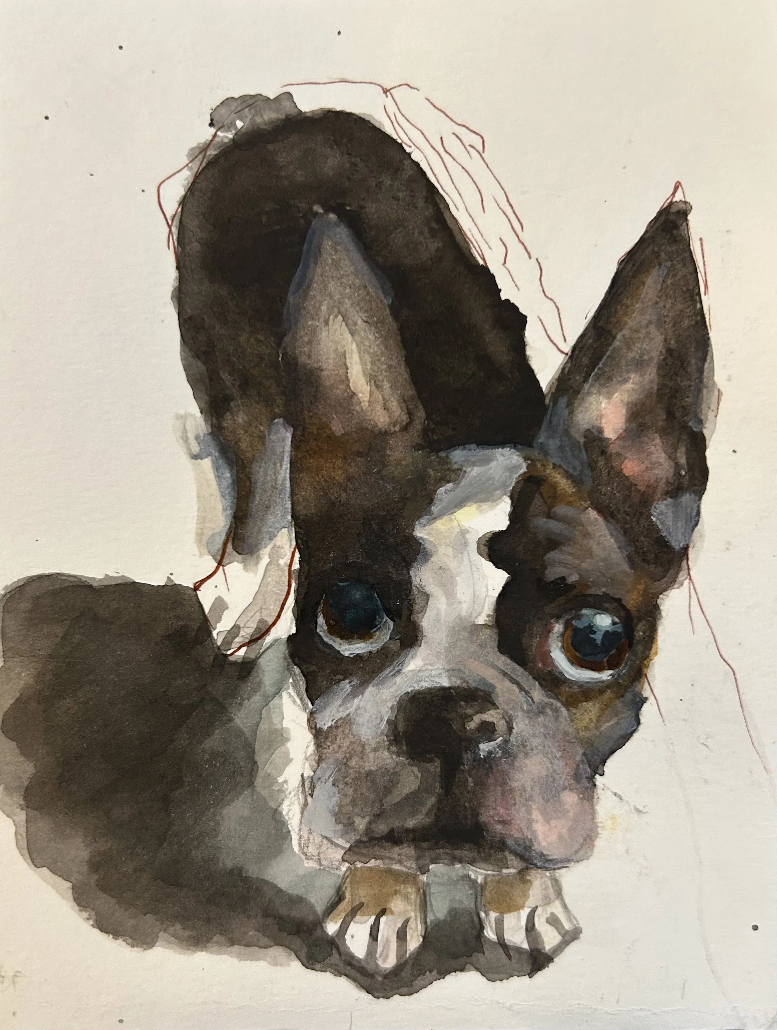"Rudy in Watercolor", Watercolor on paper, 6"x8", 2025