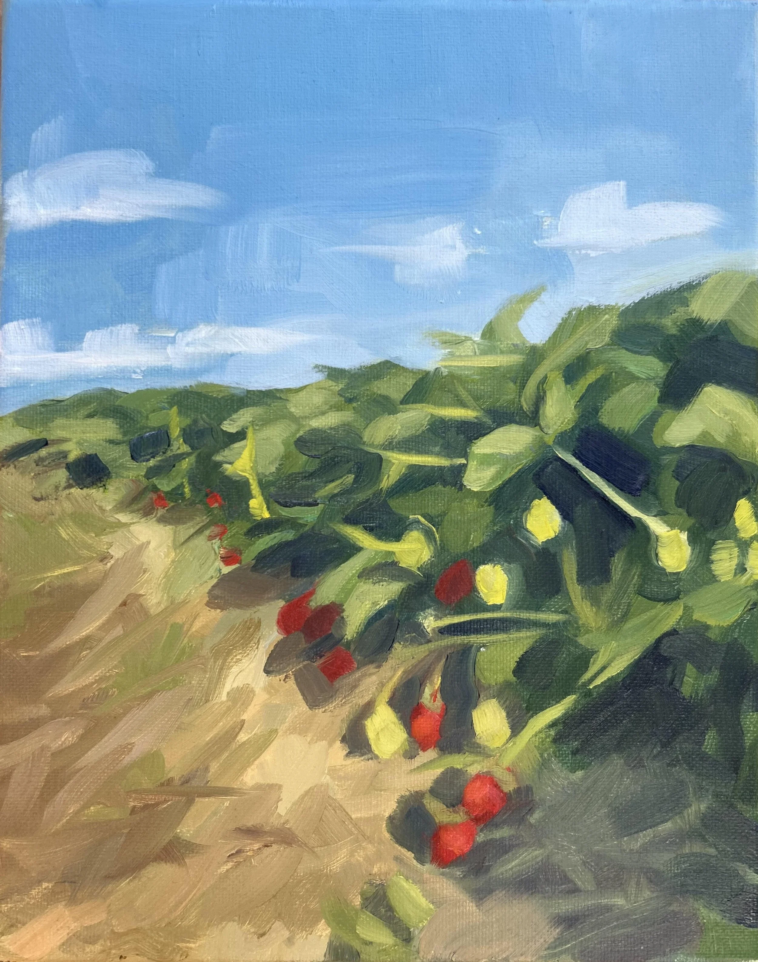 "Strawberry Fields", Oil on canvas, 8" x 10", 2025