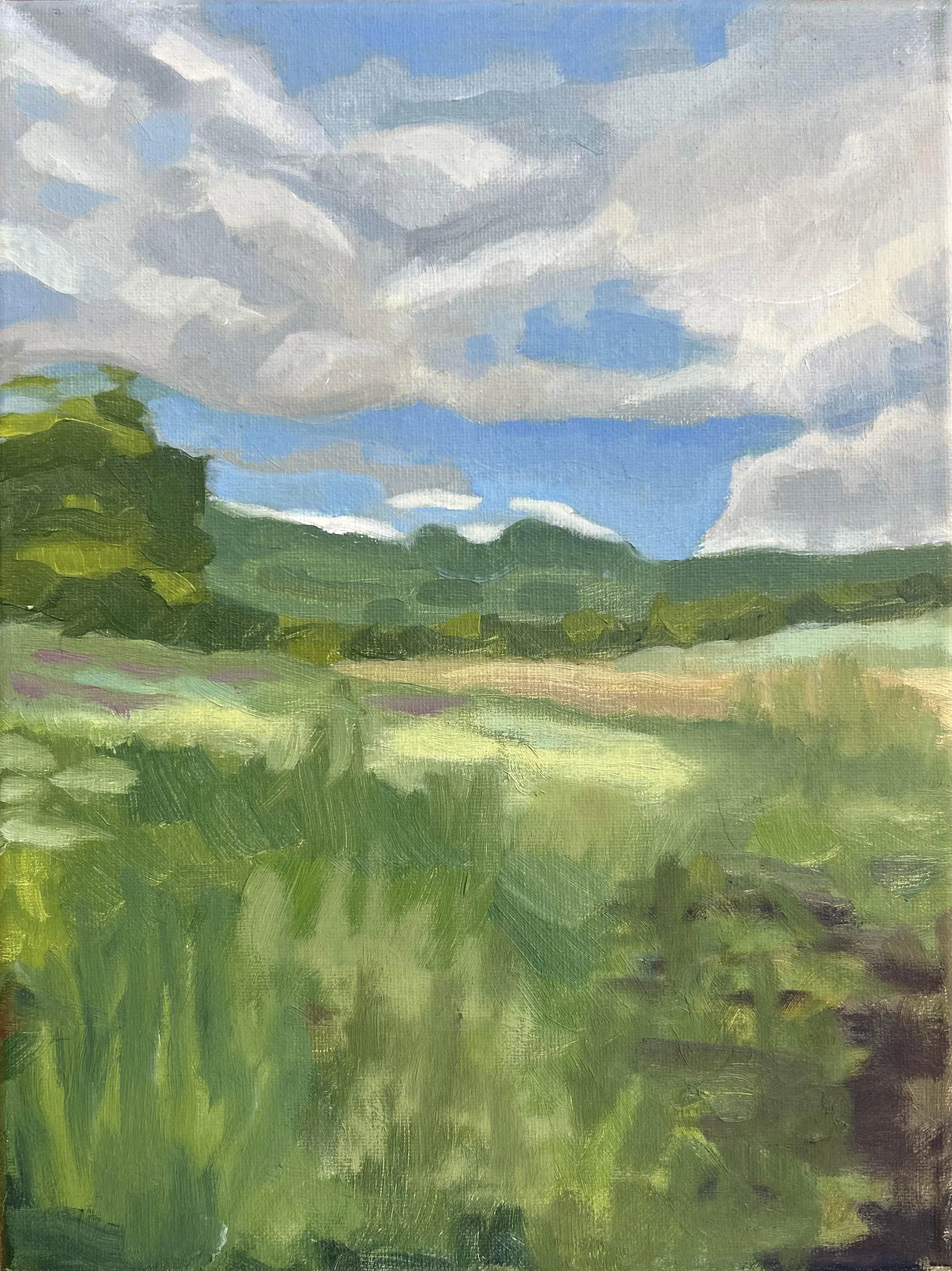 "Schick Reserve", Oil on canvas, 9" x 14", 2025