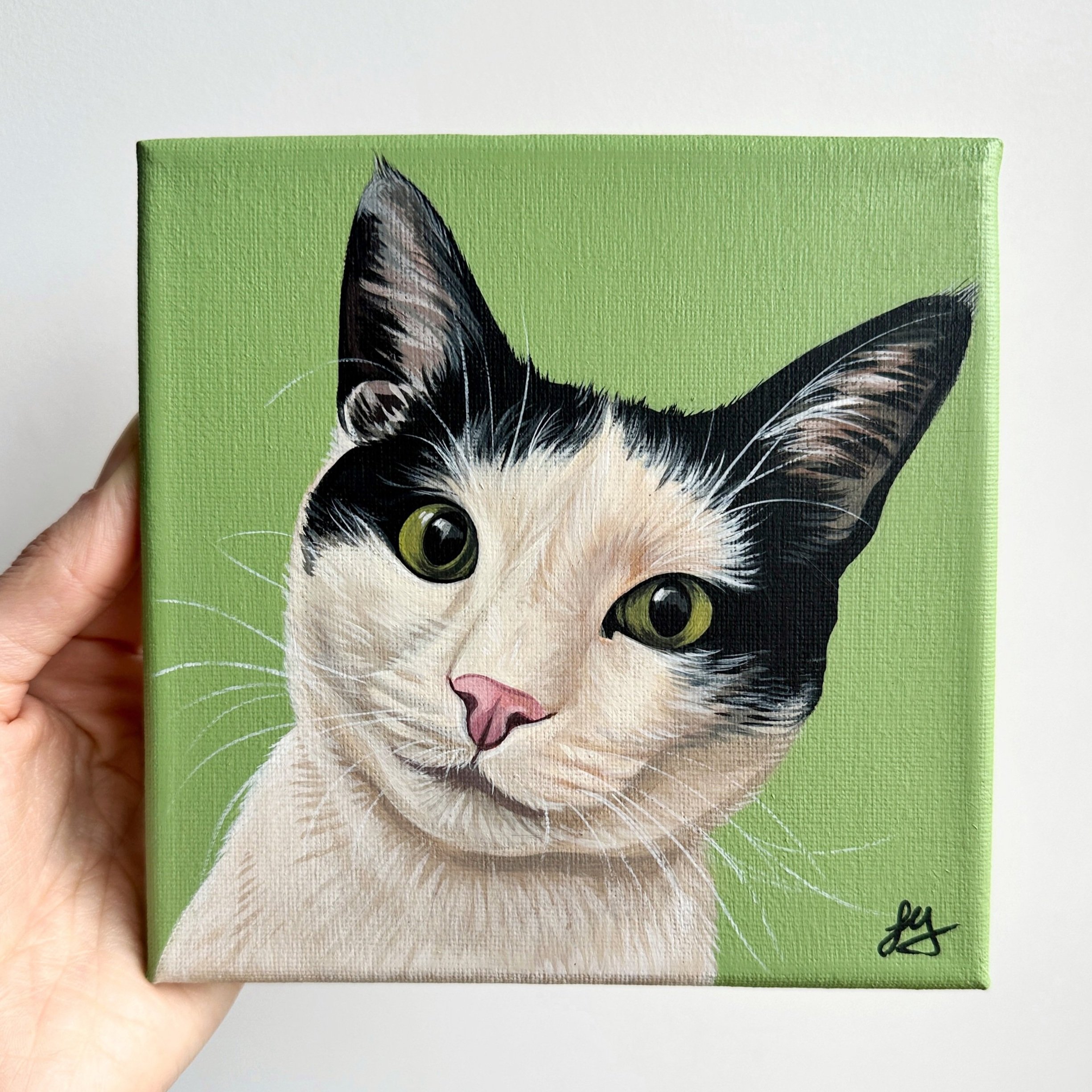 6 x 6 Pet Portrait