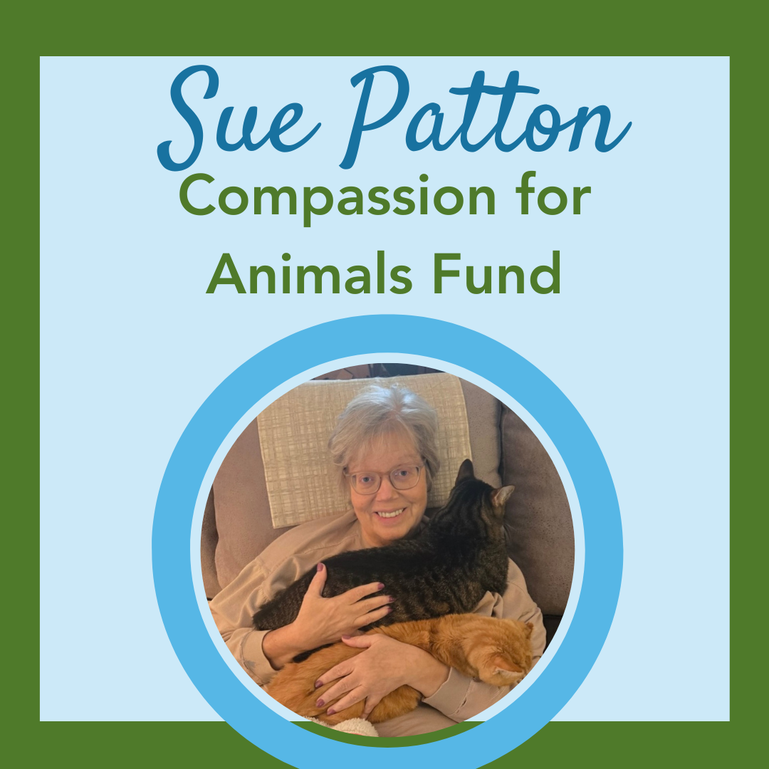 Sue Patton Compassion for Animals Fund