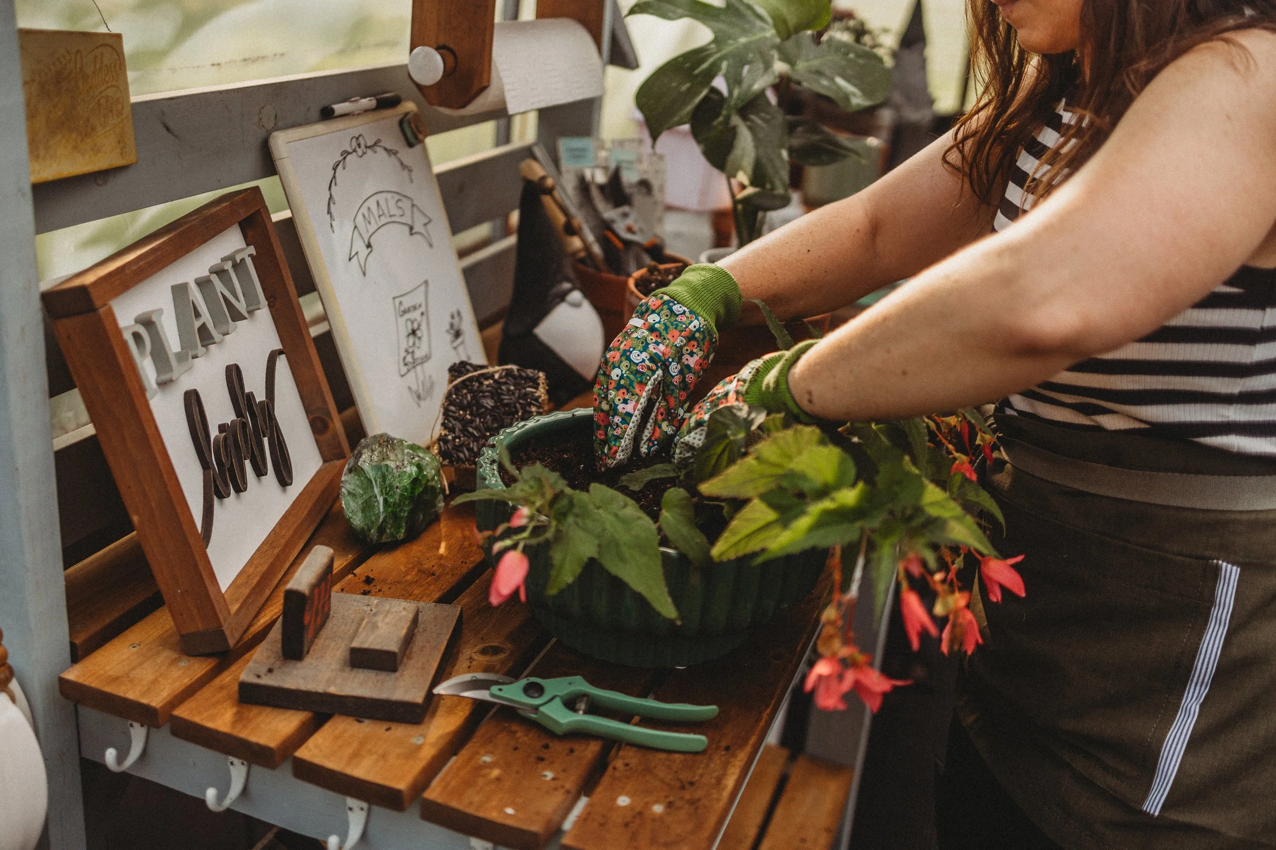 Plants & Flowers