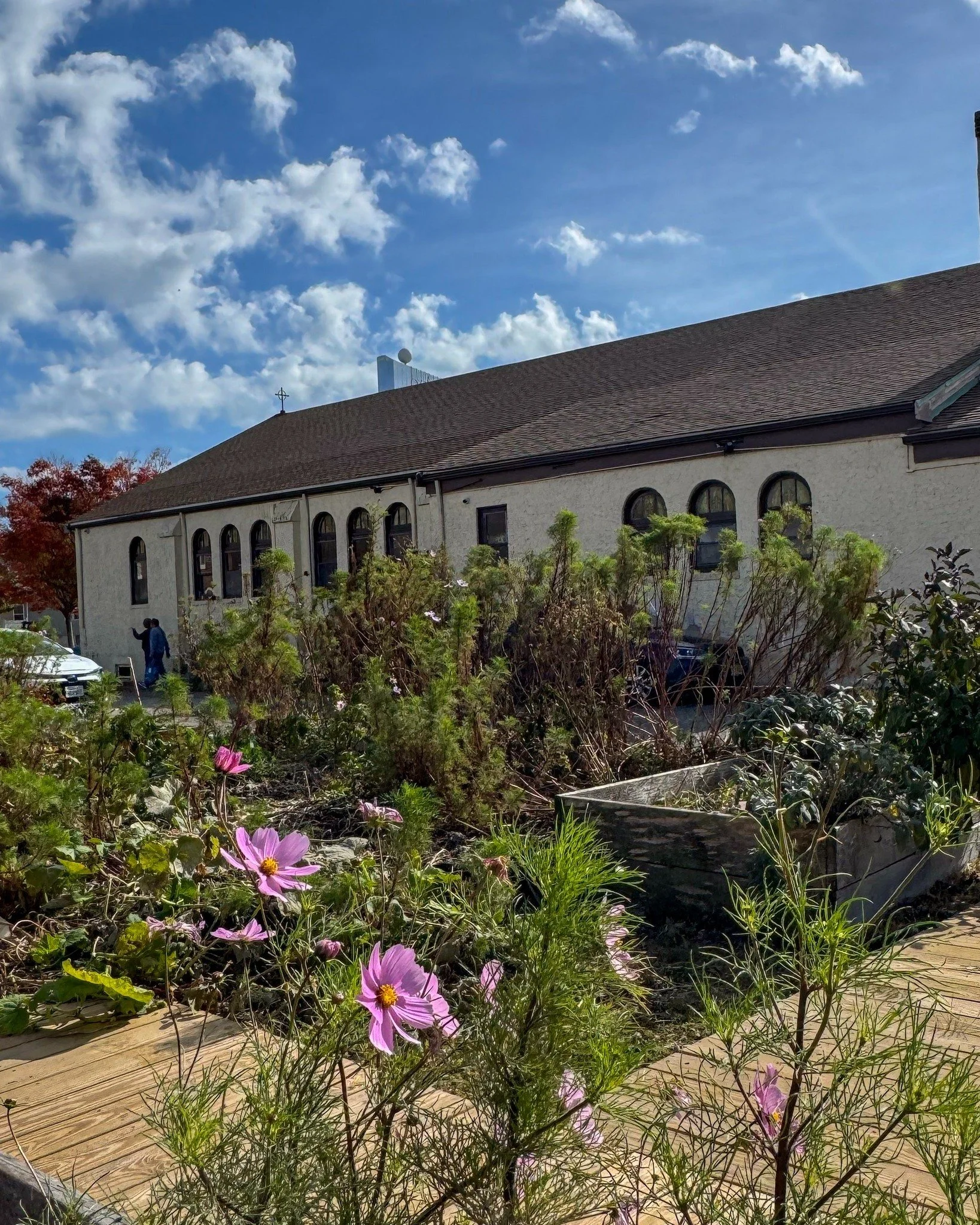 At Sister Jean&rsquo;s Kitchen, growth happens inside and out, from fresh blooms to fresh meals served daily to those in need. 🌿💛