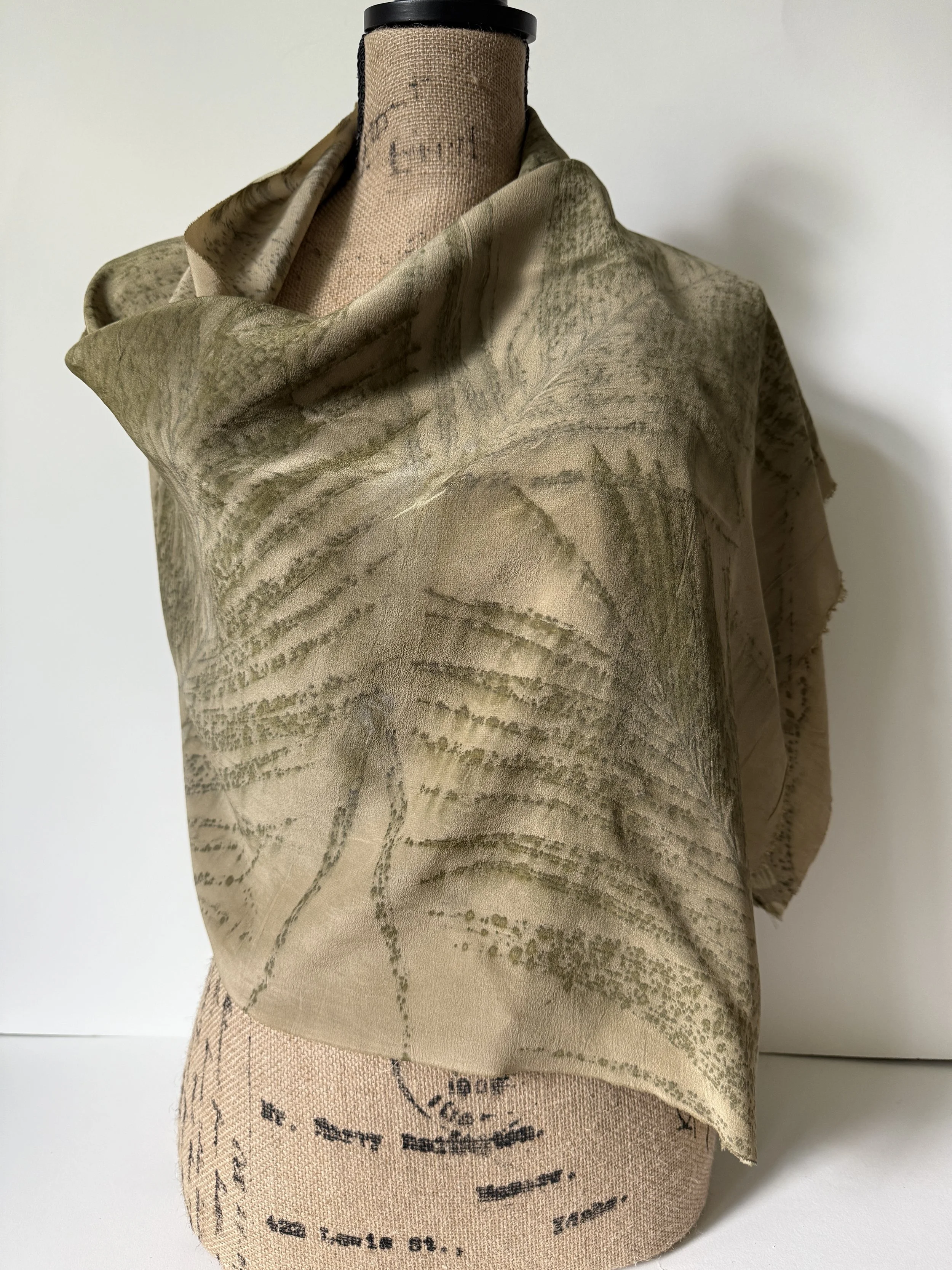 69 yellow date palm.JPG