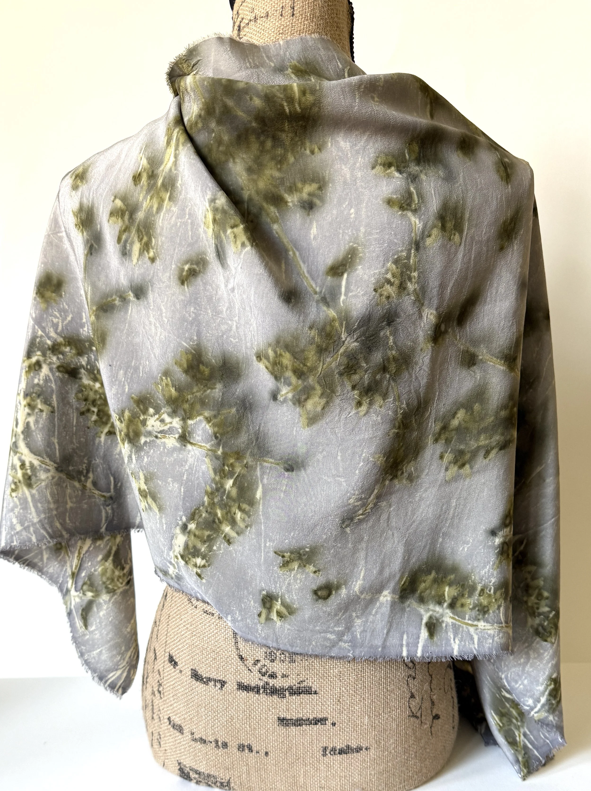 54 gray purple forsythia sc.JPG