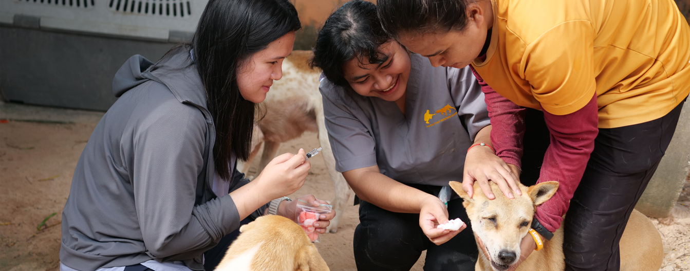 Is Voluntourism Actually Bad? The Nuanced Answer You’ve Been Looking For