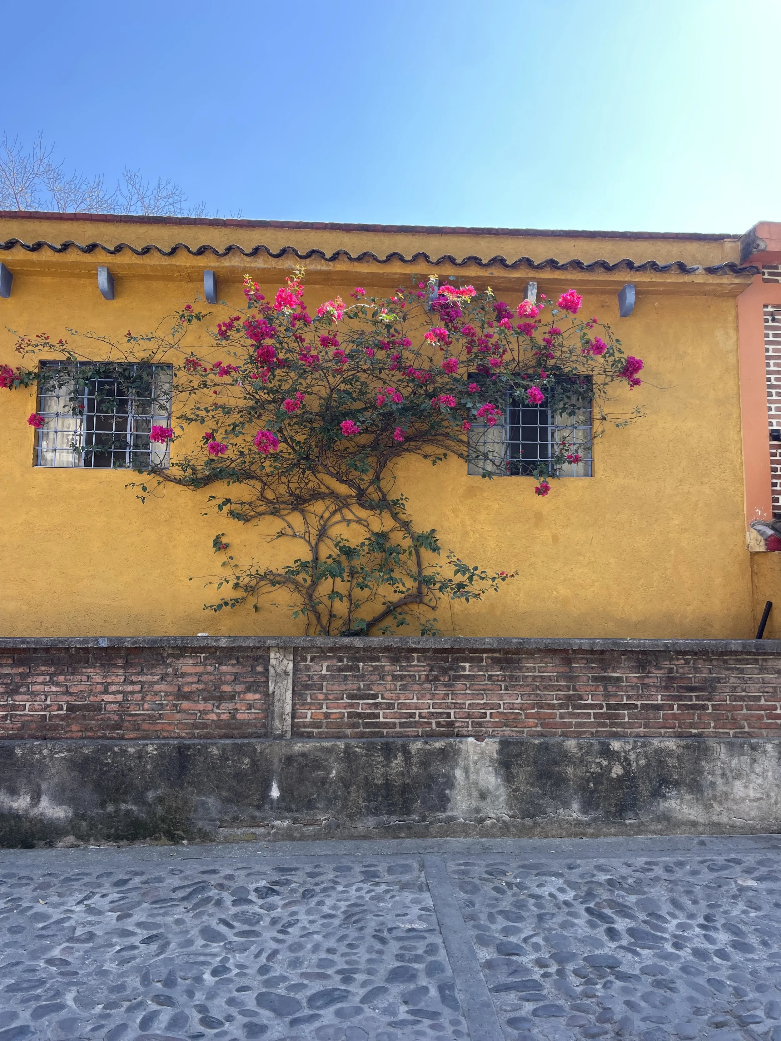 IMG_6298.jpeg