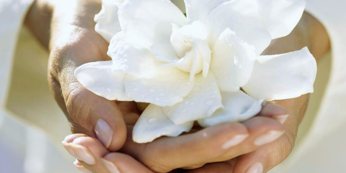 Manicure pedicure ceretta a Roma Balduina | Aloe Centro Estetico
