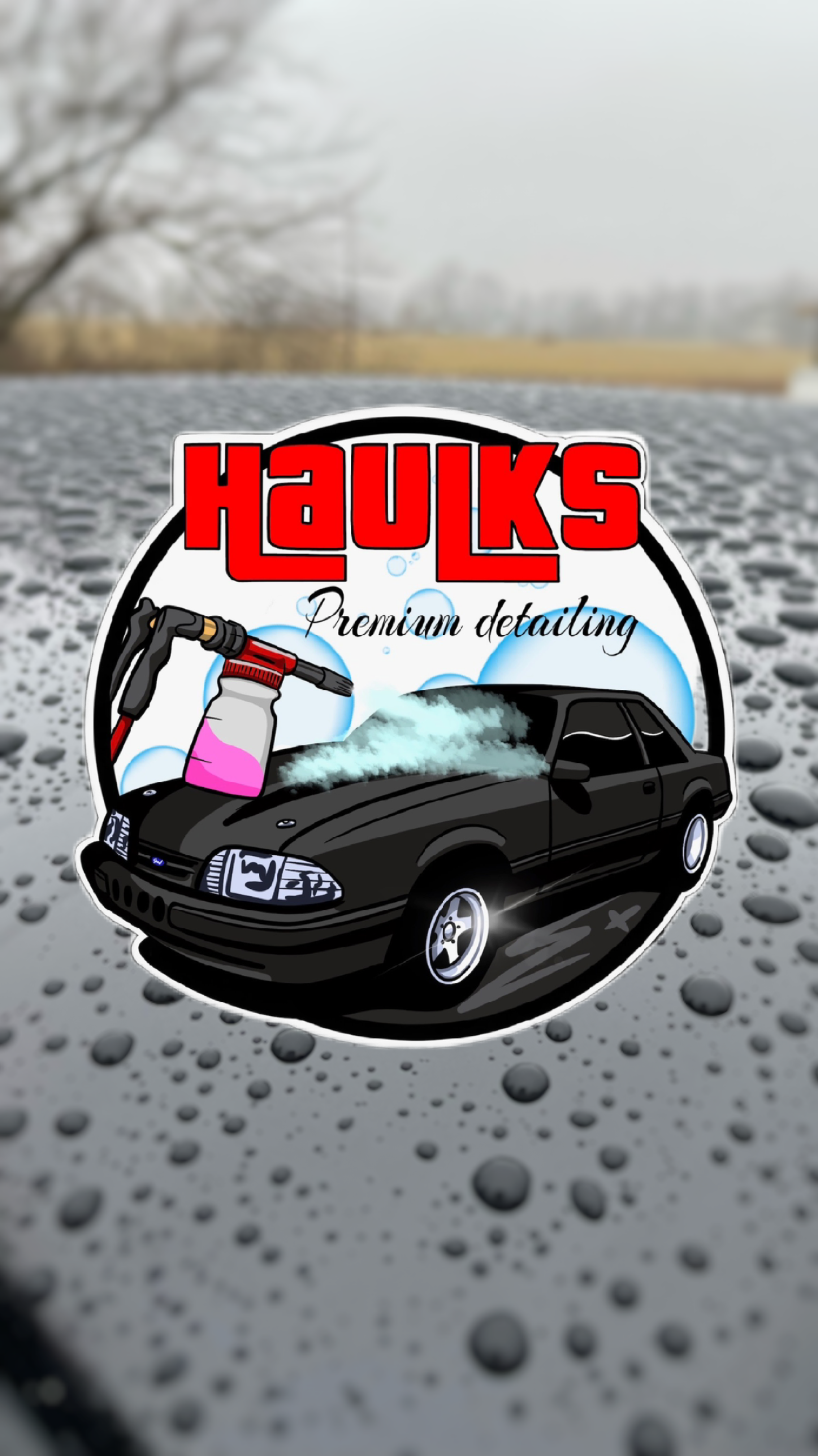 Haulk's Premium Detailing Logo