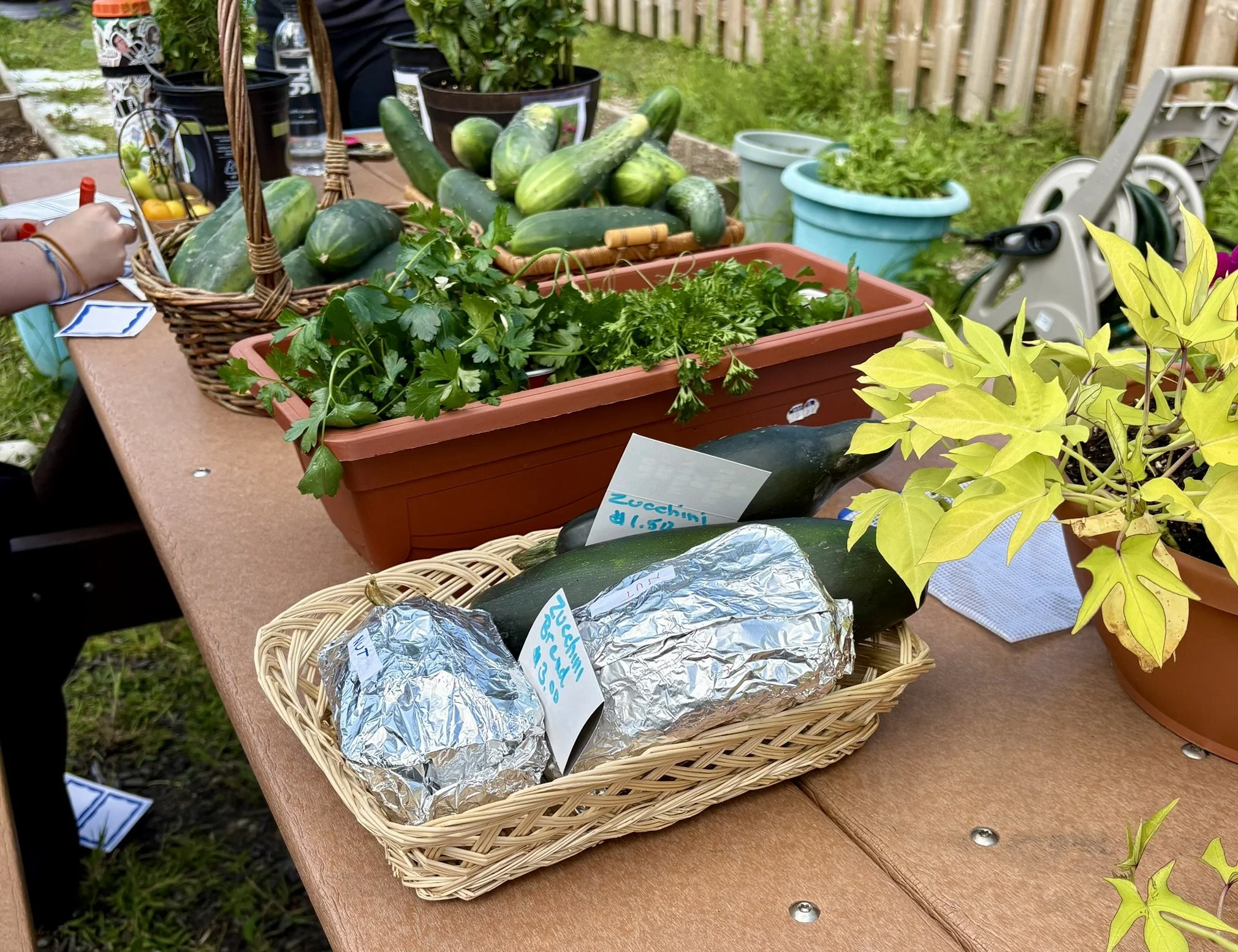 2026 Hope Grows Here Summer Market
