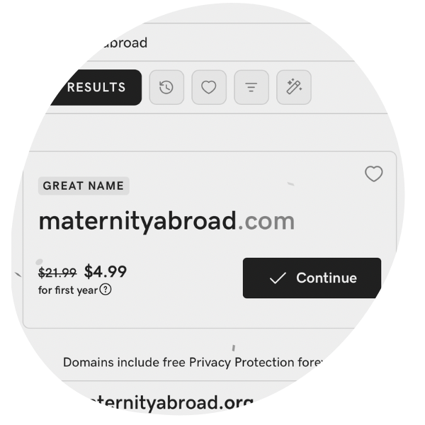 Domain price screenshot