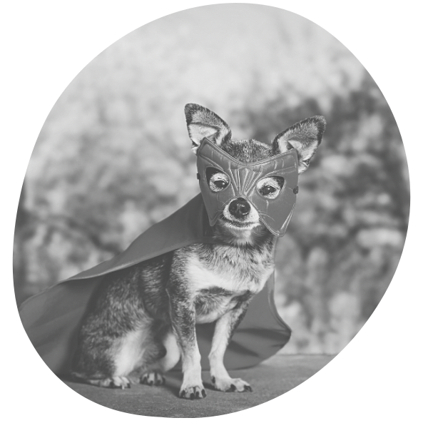 The Marketing Underdog — I Am Documenting What Happens When You Build Without the Conventional Tools