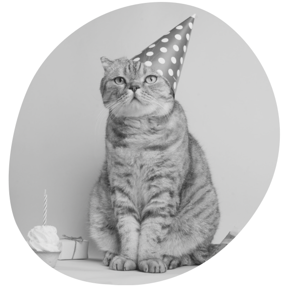 Birthdays Are the Worst. There. I Said It.