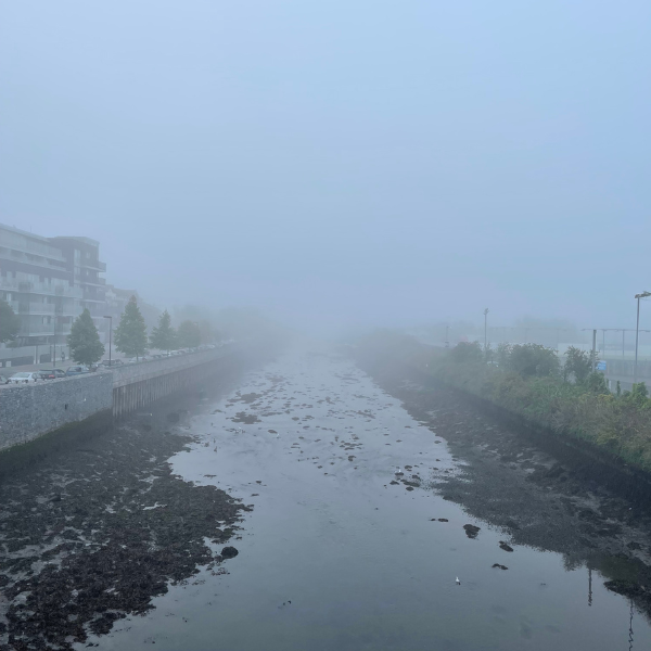 living-in-ireland-expat-reflections2.png