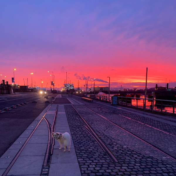 living-in-ireland-expat-reflections9.png