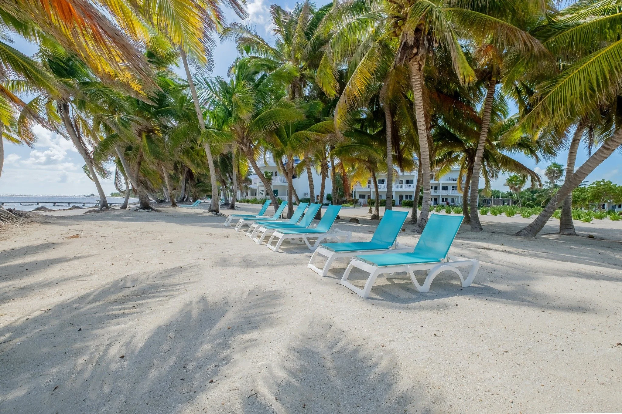 Beachfront at 10 miles north where development spreads out and you get beach instead of seawalls.

Sapphire Beach Resort is one of those setups where the infrastructure makes the difference. This 1-bedroom is already generating rental income through 