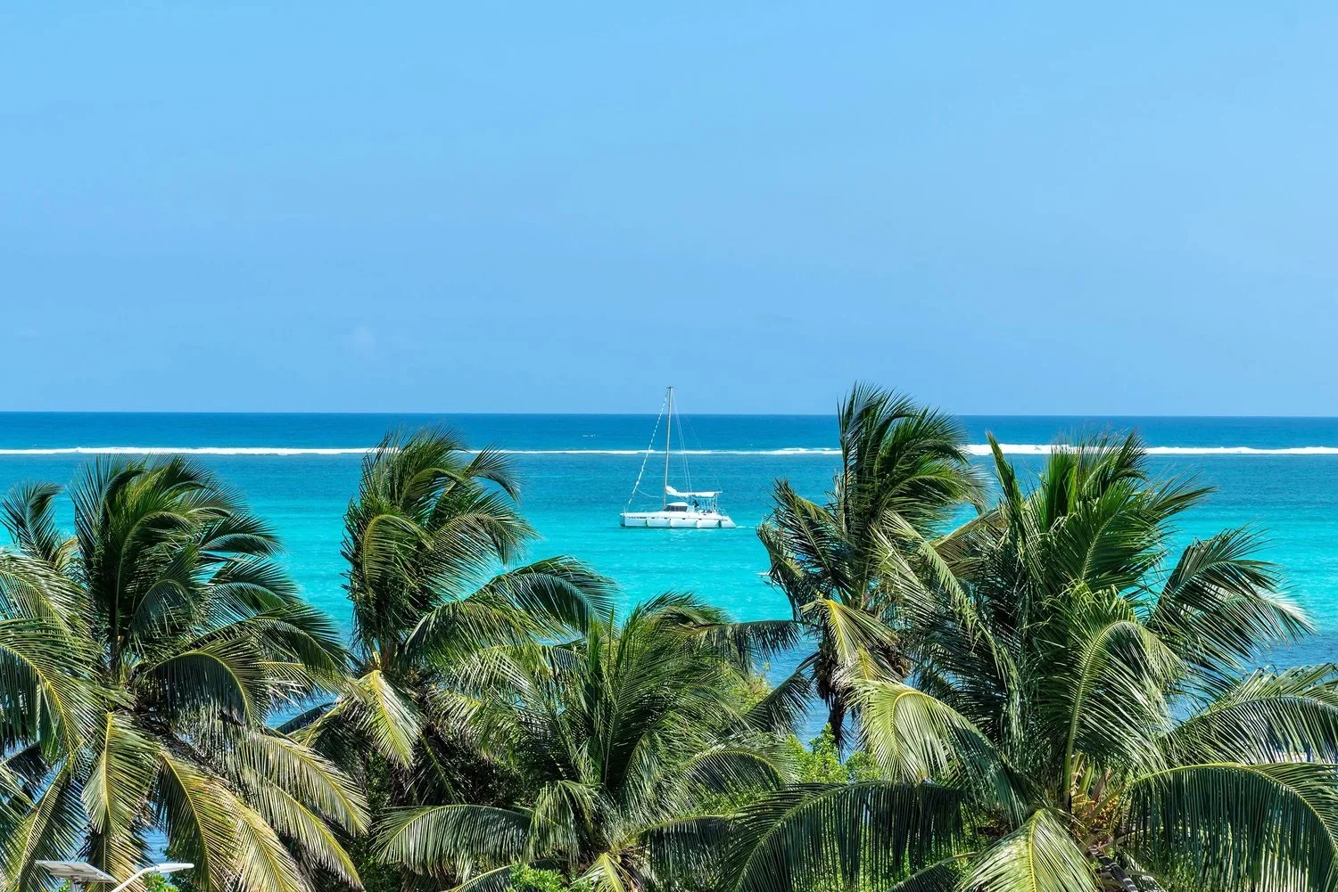 Boca del Rio is one of the most walkable addresses on the island &mdash; the beach, the Palapa Bar, dive shops, and restaurants are all on foot. Teal is the 805-square-foot, 1-bedroom unit at Casa del Rai, fully furnished and move-in ready.

🛏️ 1 BR