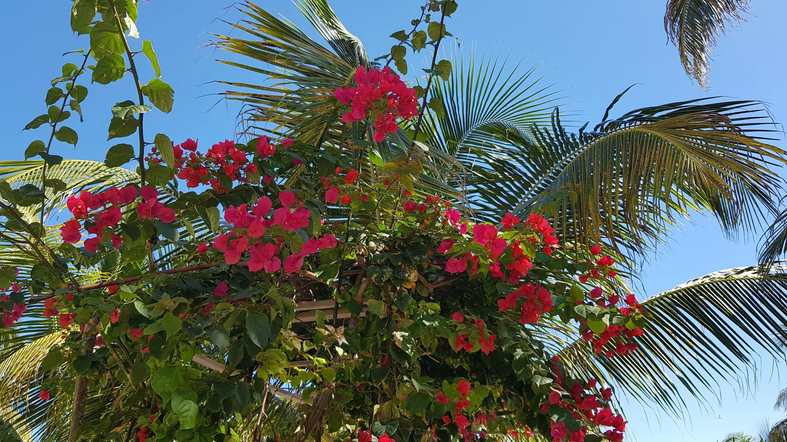 20191227_120906.jpg
