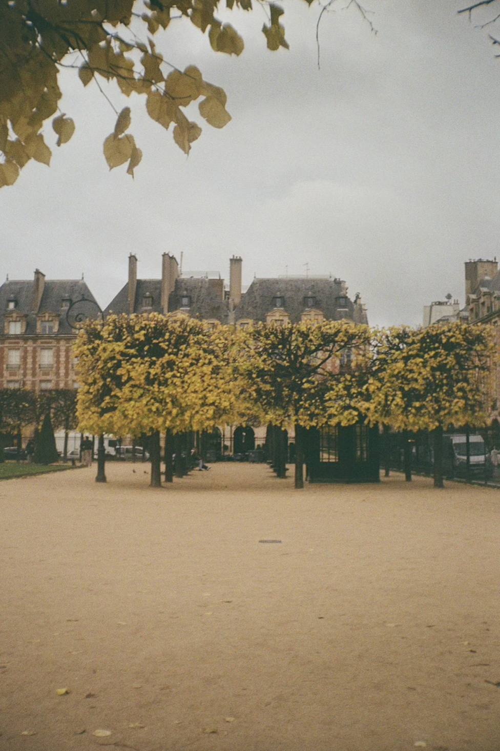 Screen Shot 2024-10-21 at 3.10.52 PM.png