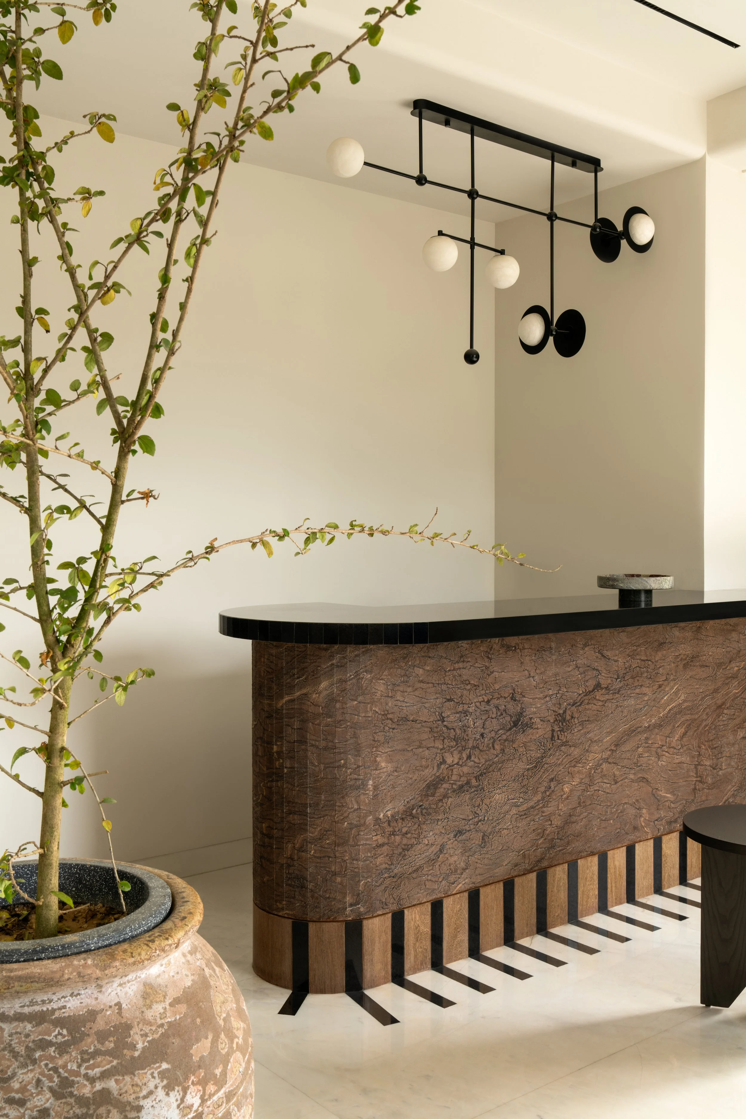 _SJP4507-Edit copy.jpeg