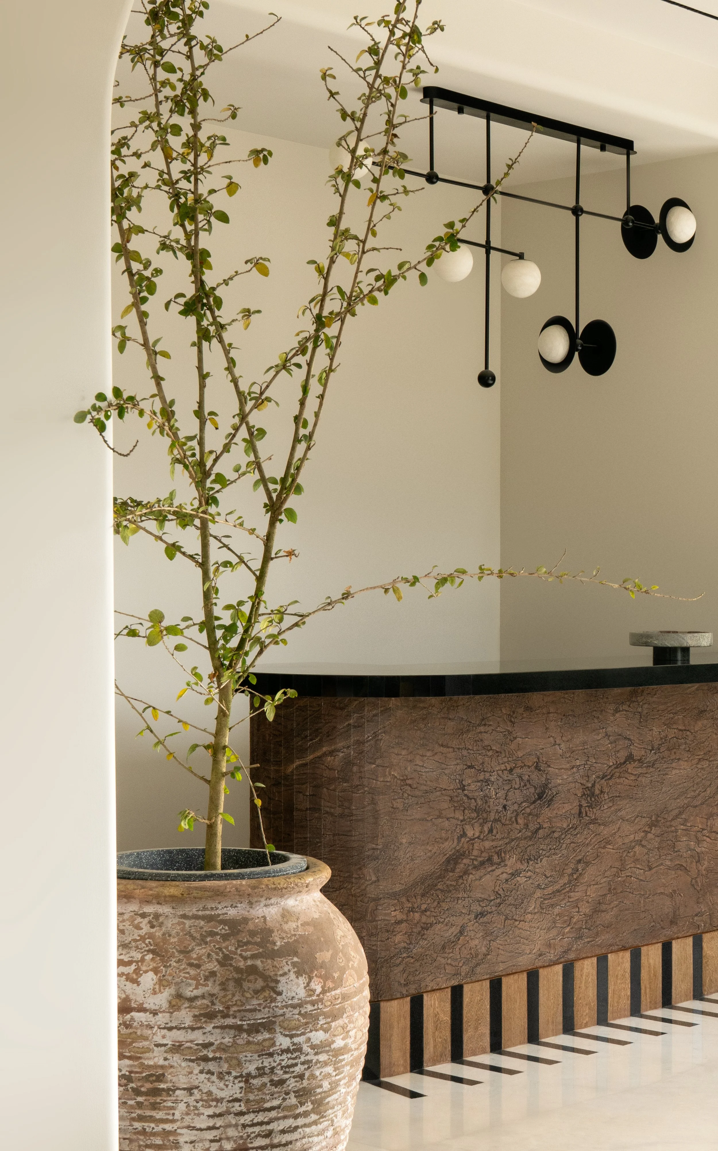 _SJP4501-Edit copy.jpeg