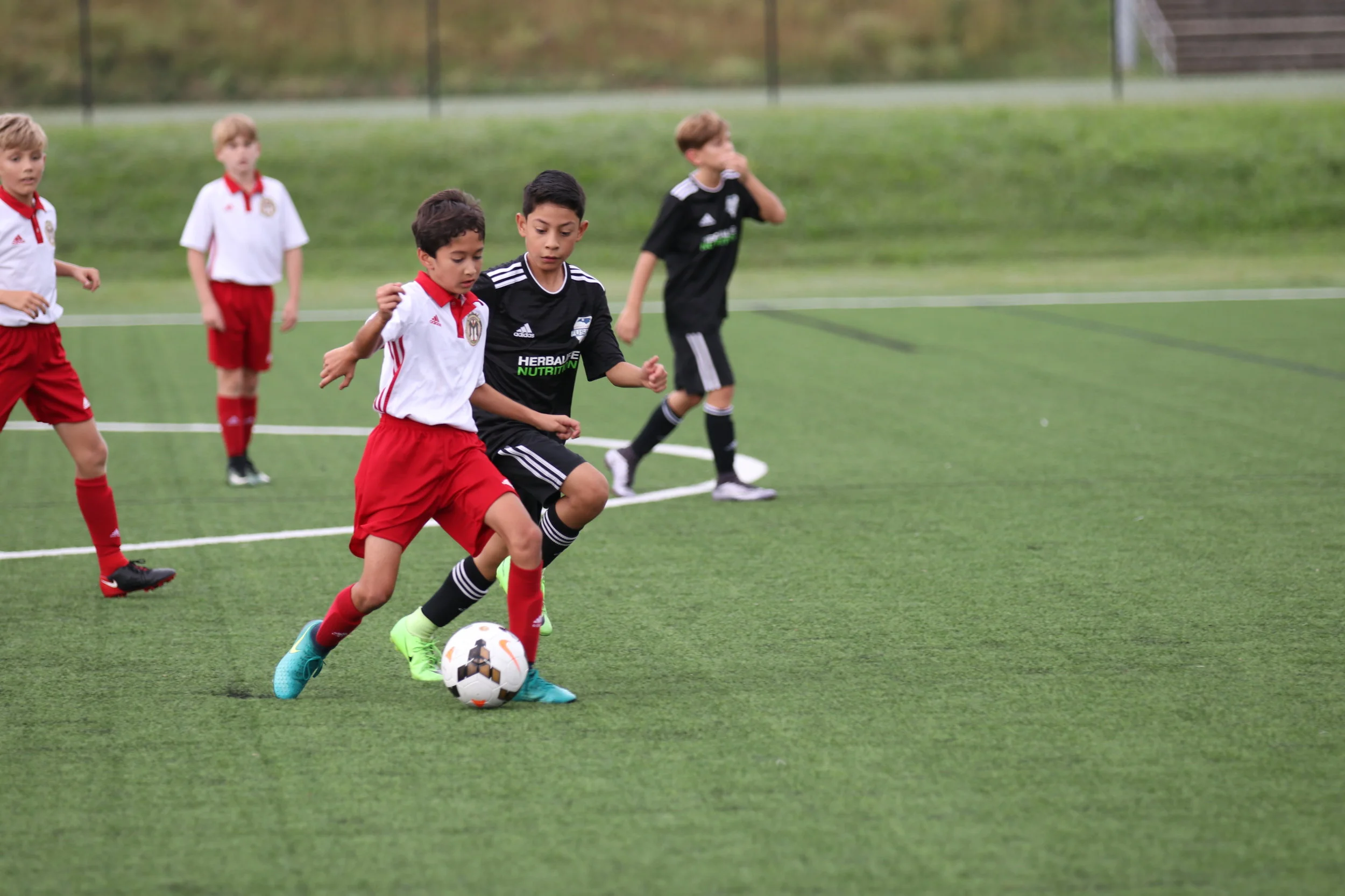Queen City Mutiny is "All In" for the Carolina Development League