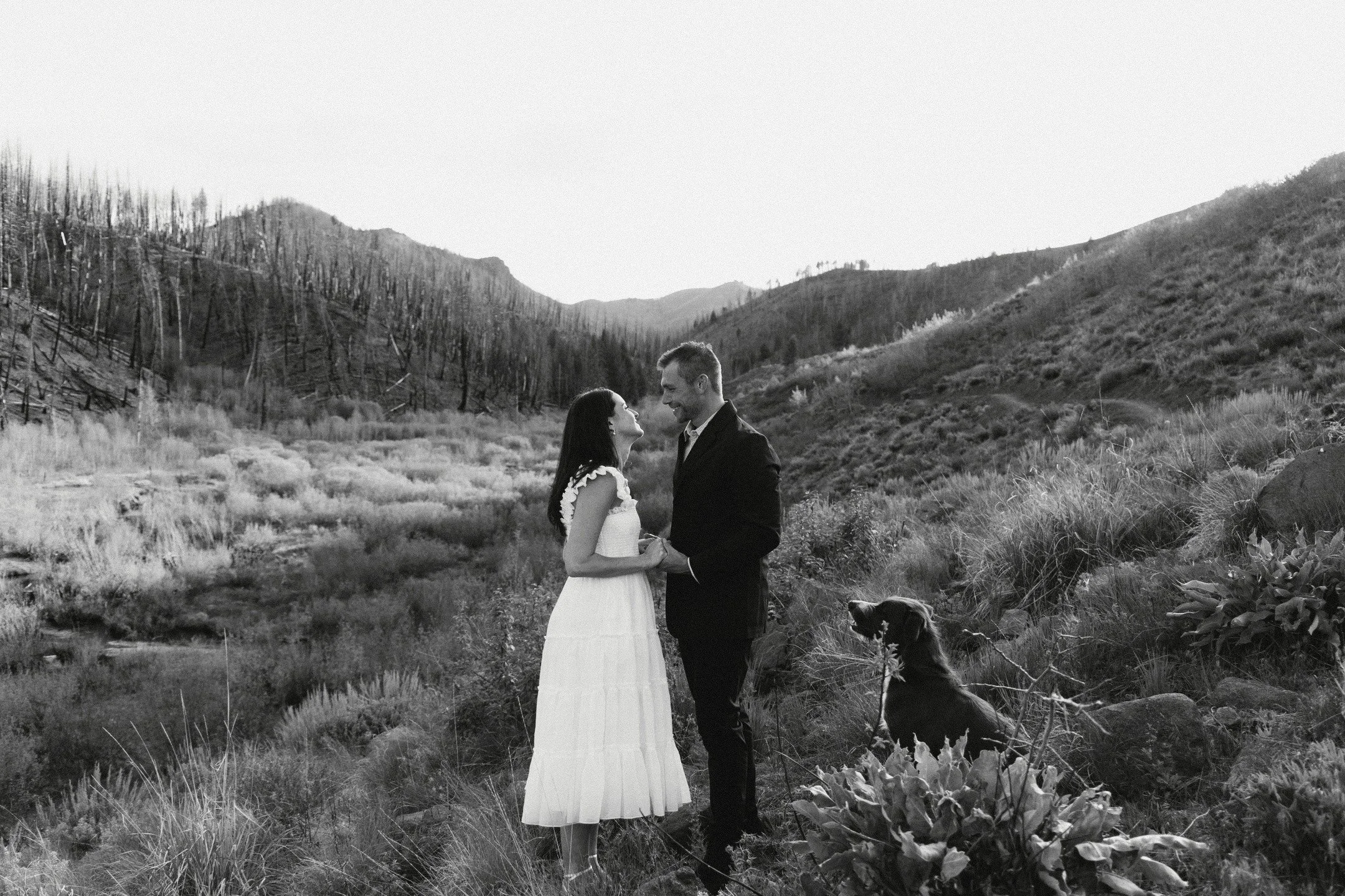 A couple dressed in wedding attire holding hands and looking at each other in a natural outdoor landscape with mountains, grass, and a dog sitting nearby.