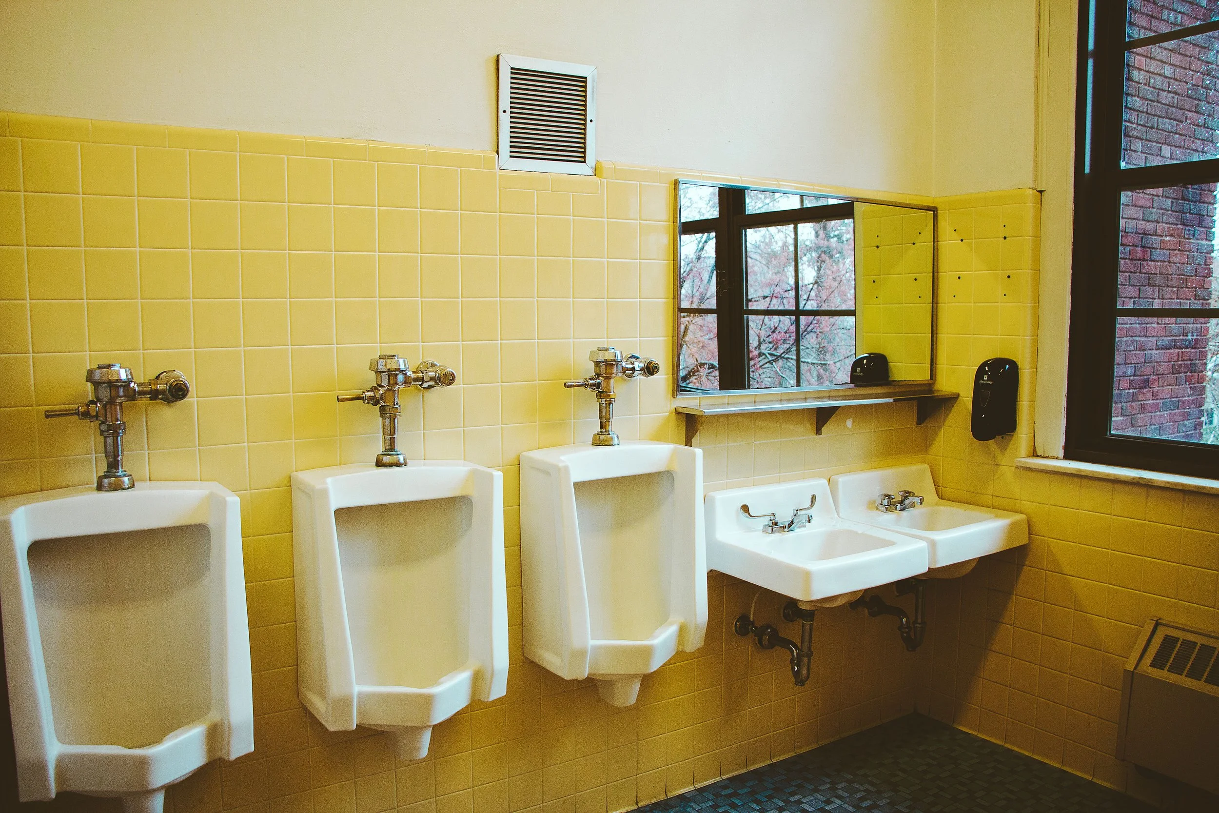 The Gendered Bathroom, 2019