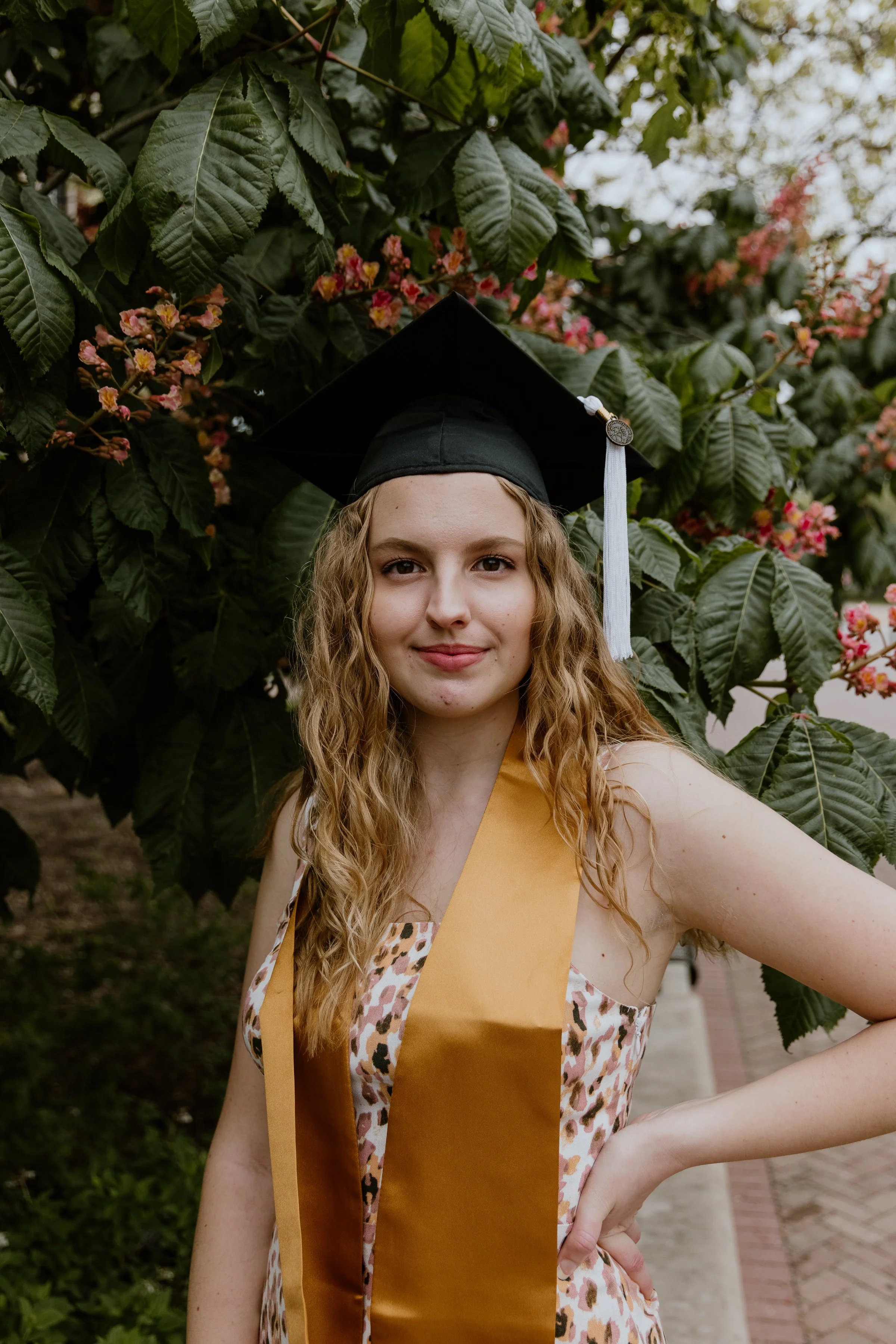 Grad-1.jpg