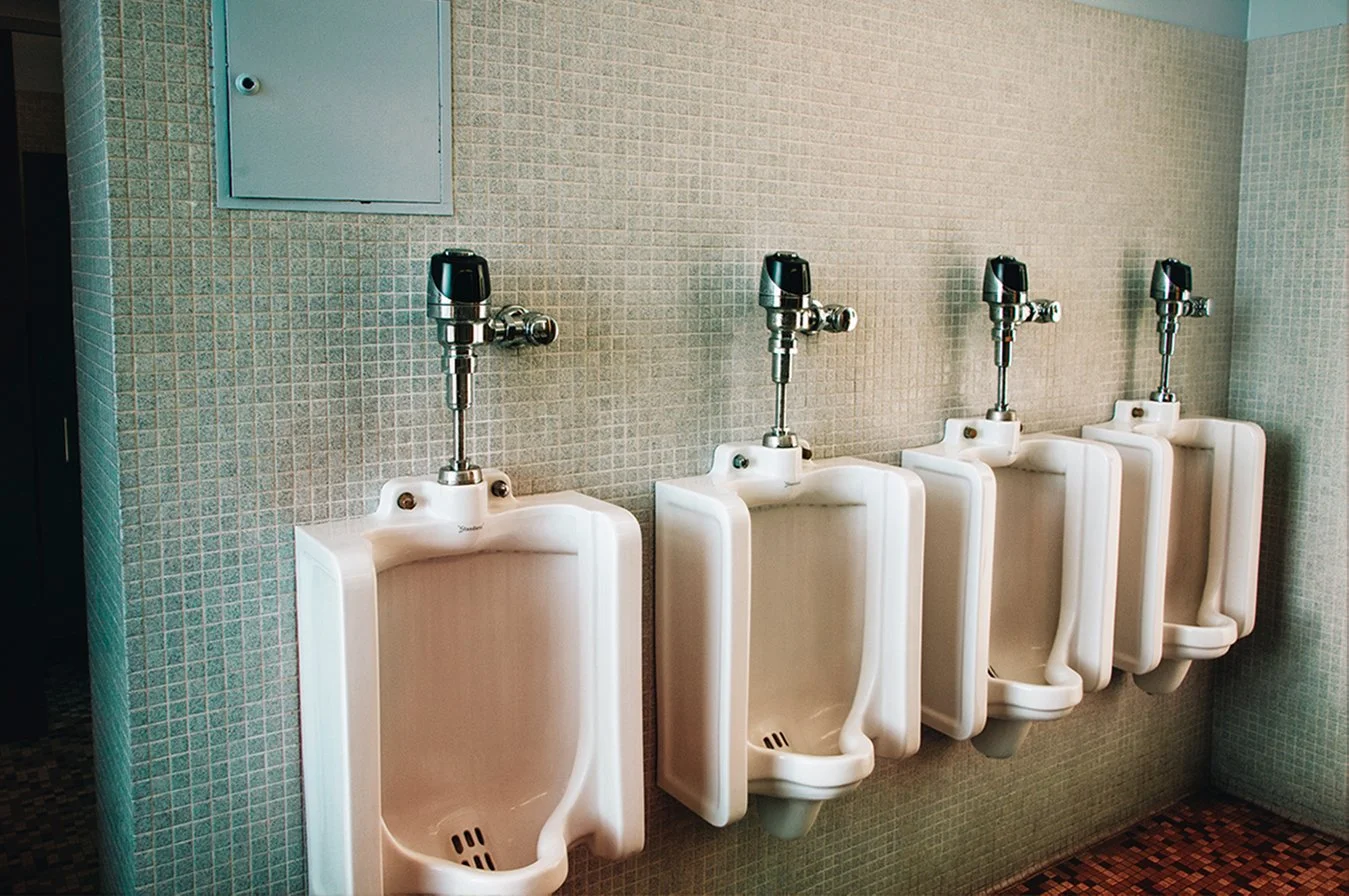 The Gendered Bathroom, 2019