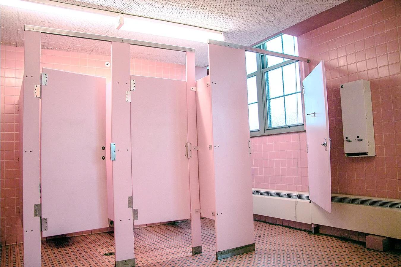 The Gendered Bathroom, 2019