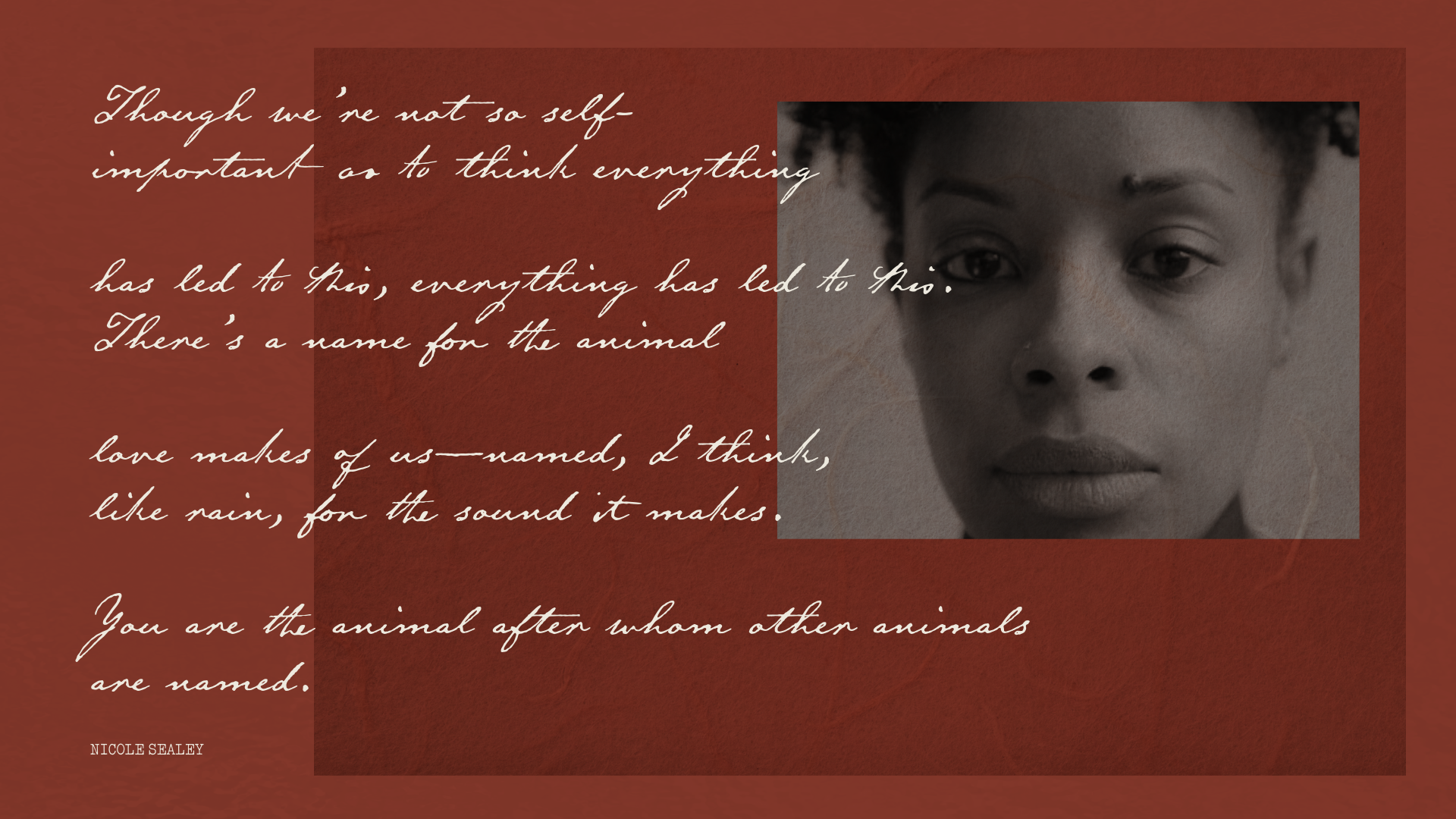 A quote over a textured reddish-brown background with a black and white portrait of a woman in the upper right corner. The quote talks about love and naming animals, and includes the author's name, NICOLE SEALEY, in small text at the bottom left.