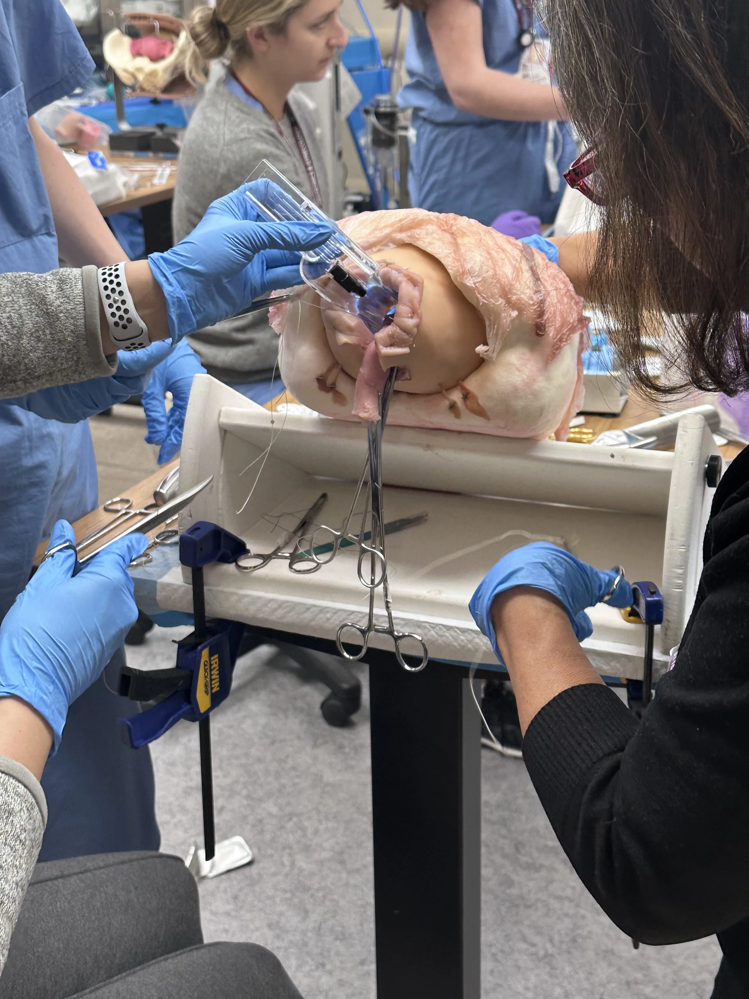 A Surgical Modeling Solutions real tissue model being used for Vaginal Surgery