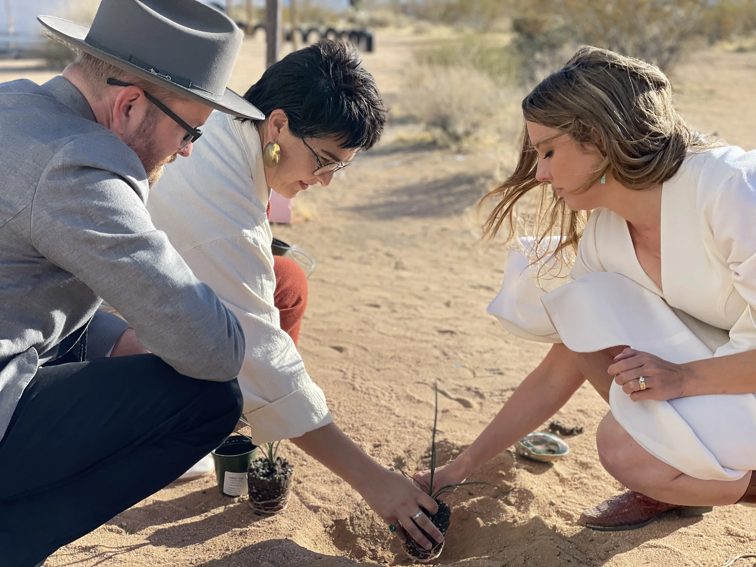 Photo by Todd Beattie