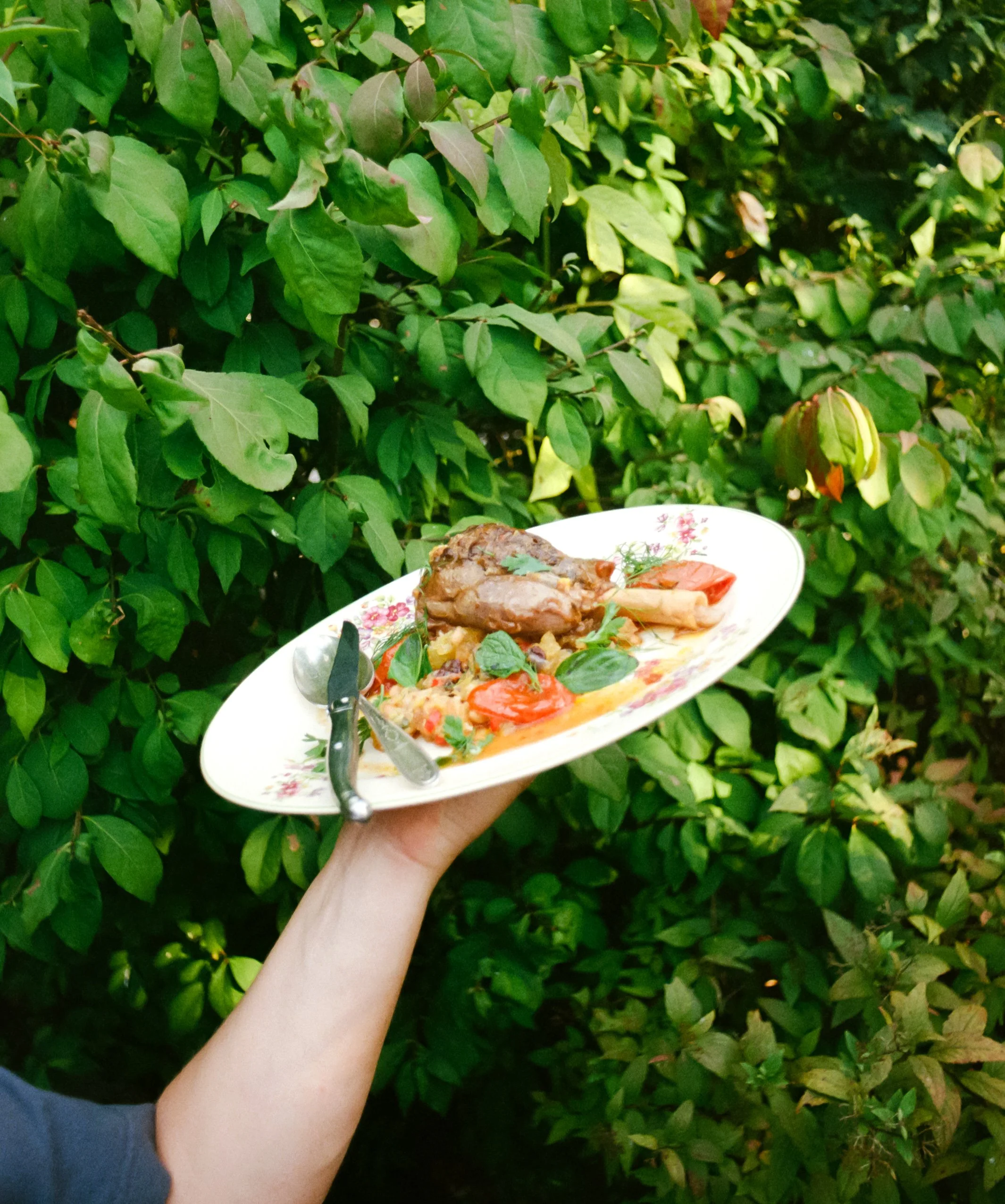 Braised Lamb Shanks (2pc)