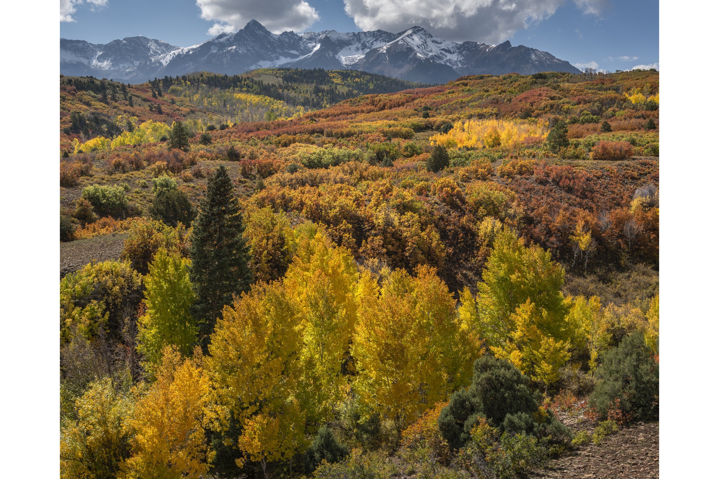 Mt Sneffels Wilderness from Dallas Divide 3to2 canvas store.jpg