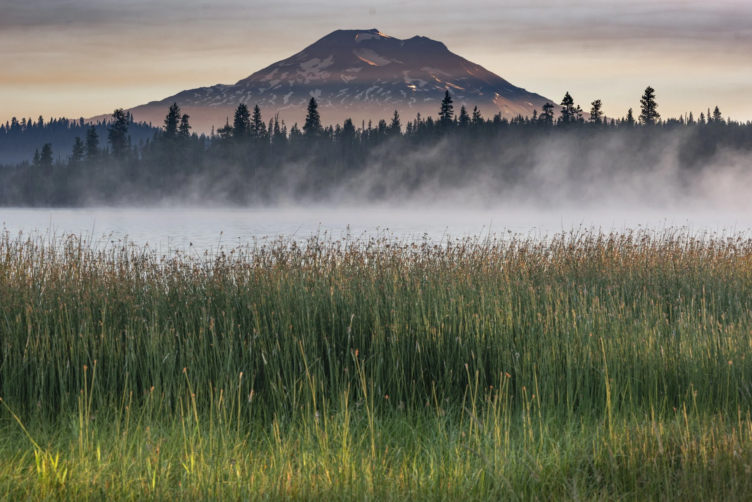 Misty Morning.jpg
