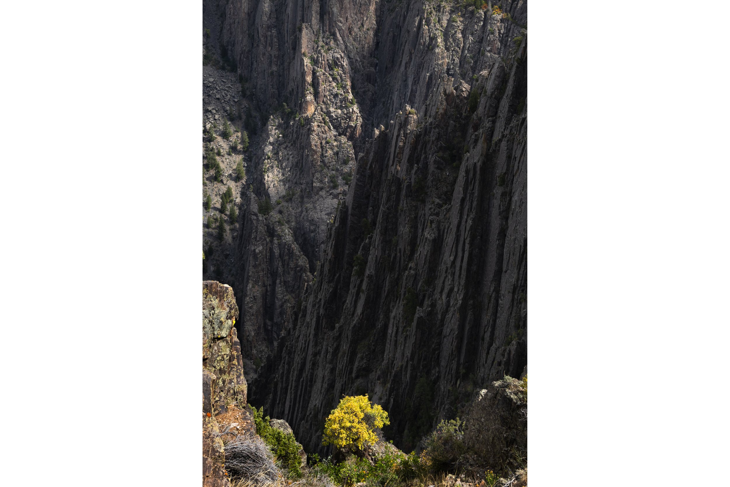 Dark Canyon 3to2 canvas store.jpg