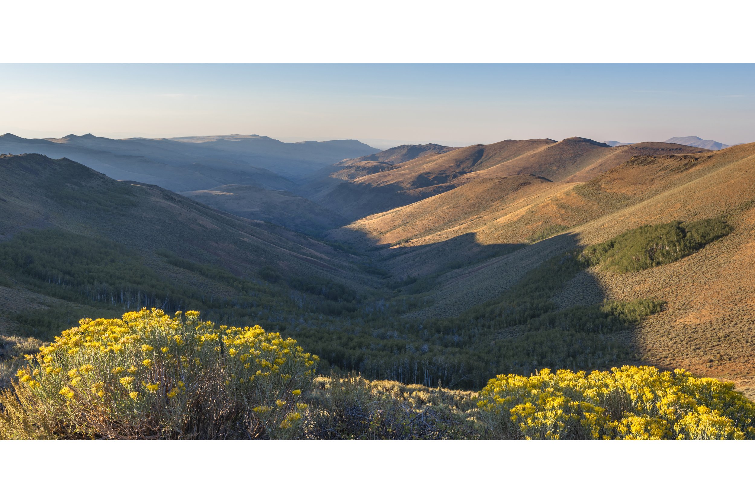 Fall Canyon 3to2 canvas store.jpg